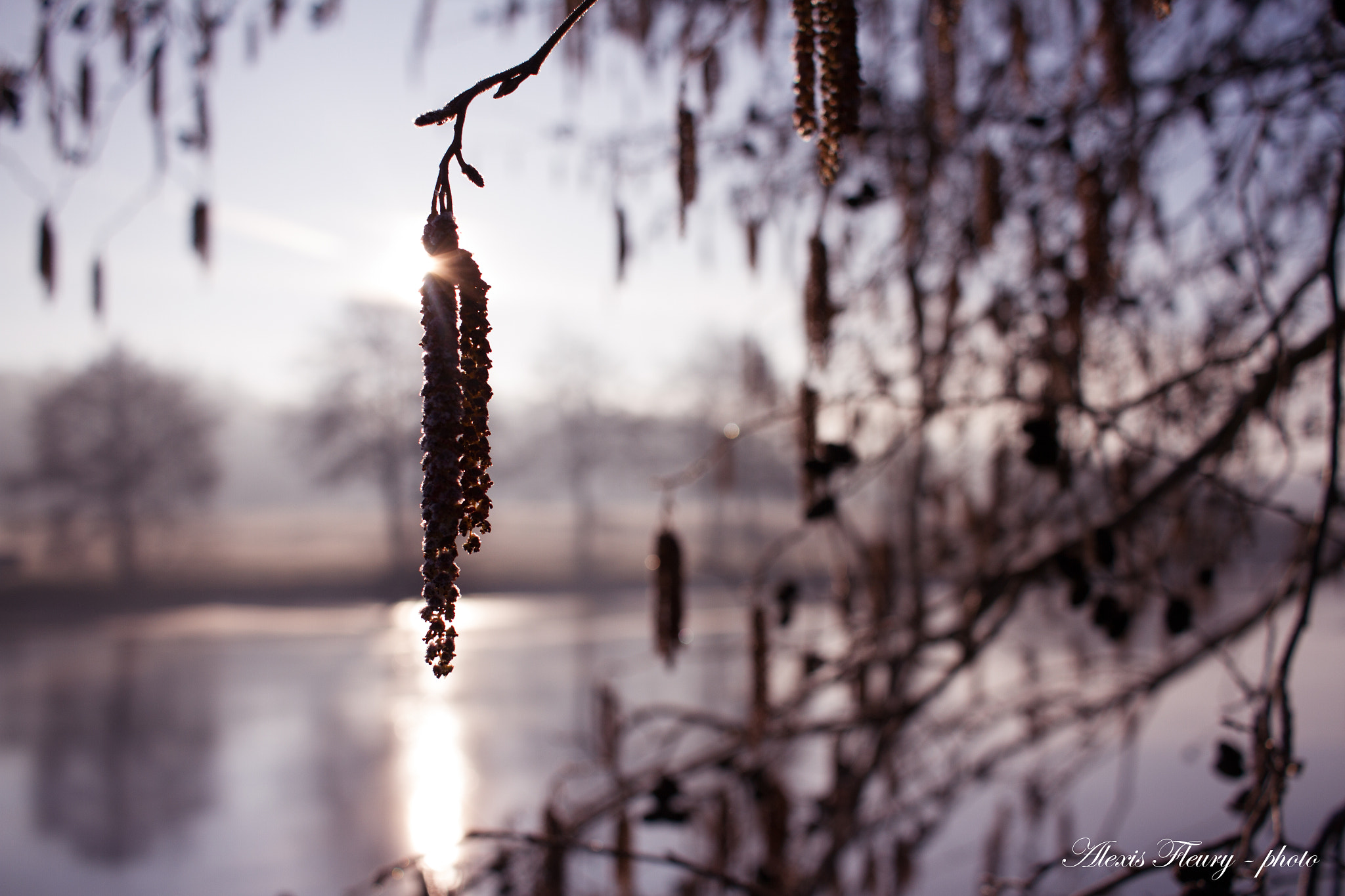 Canon EF-S 24mm F2.8 STM sample photo. Opposition photography