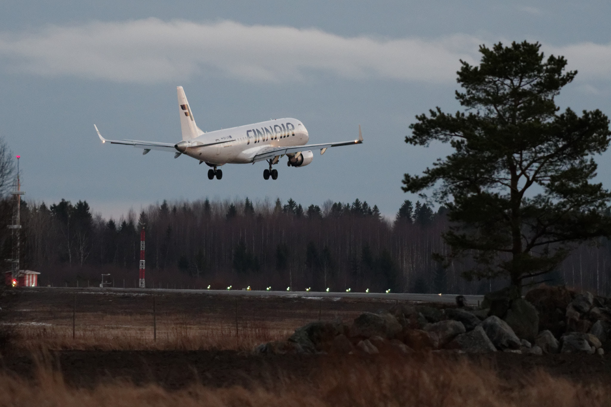 Nikon AF-S Nikkor 300mm F4D ED-IF sample photo. Oh-lkh landing photography