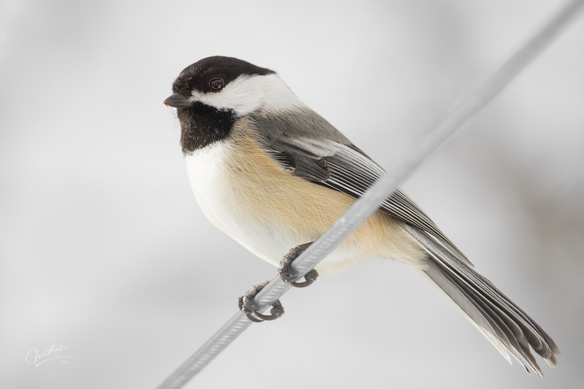 Canon EF-S 55-250mm F4-5.6 IS STM sample photo. Silver lining photography