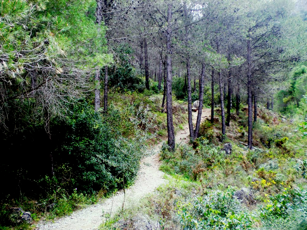 Olympus FE230/X790 sample photo. Jarapalos photography