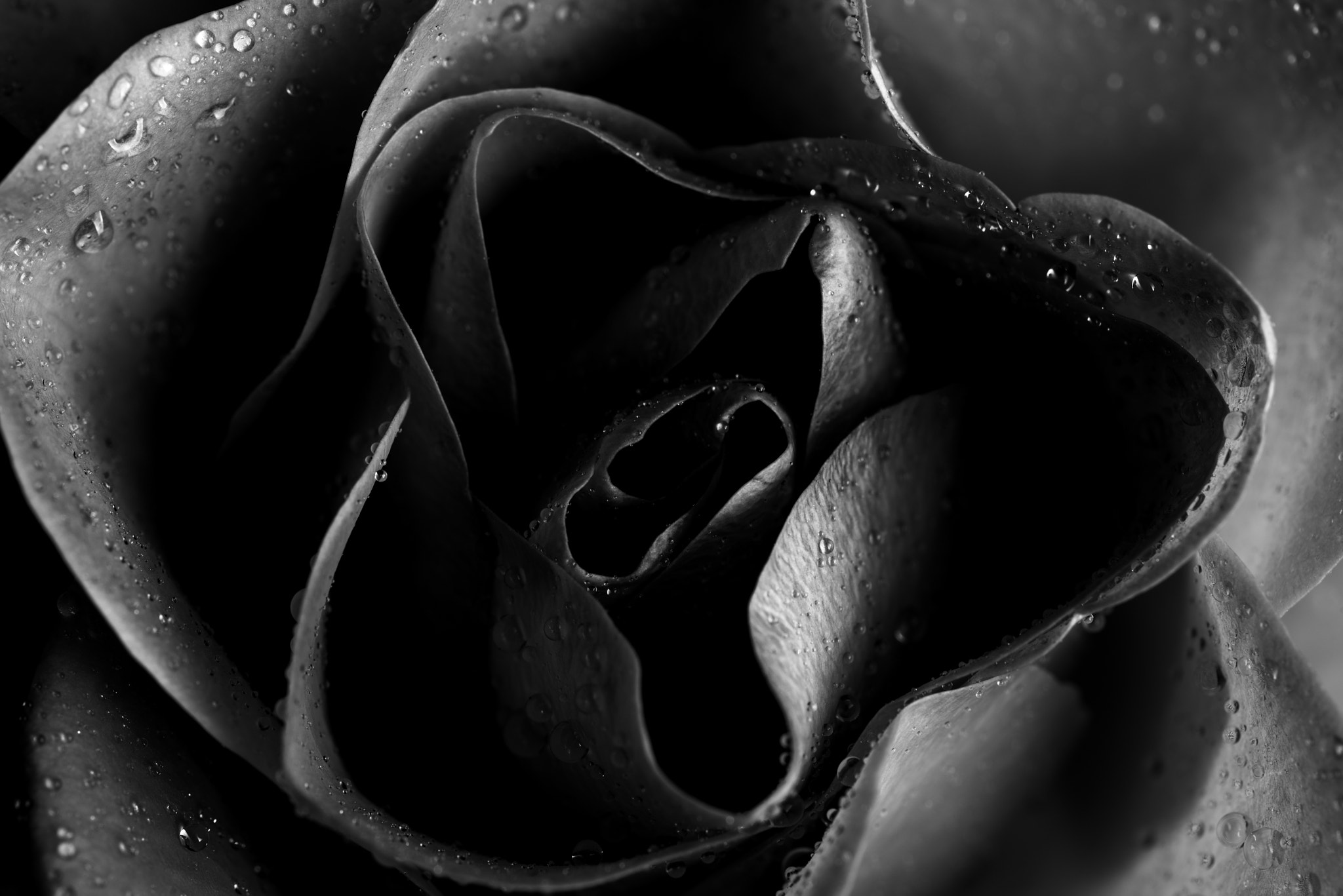 Sigma 105mm F2.8 EX DG OS HSM sample photo. Lines, tones and textures photography
