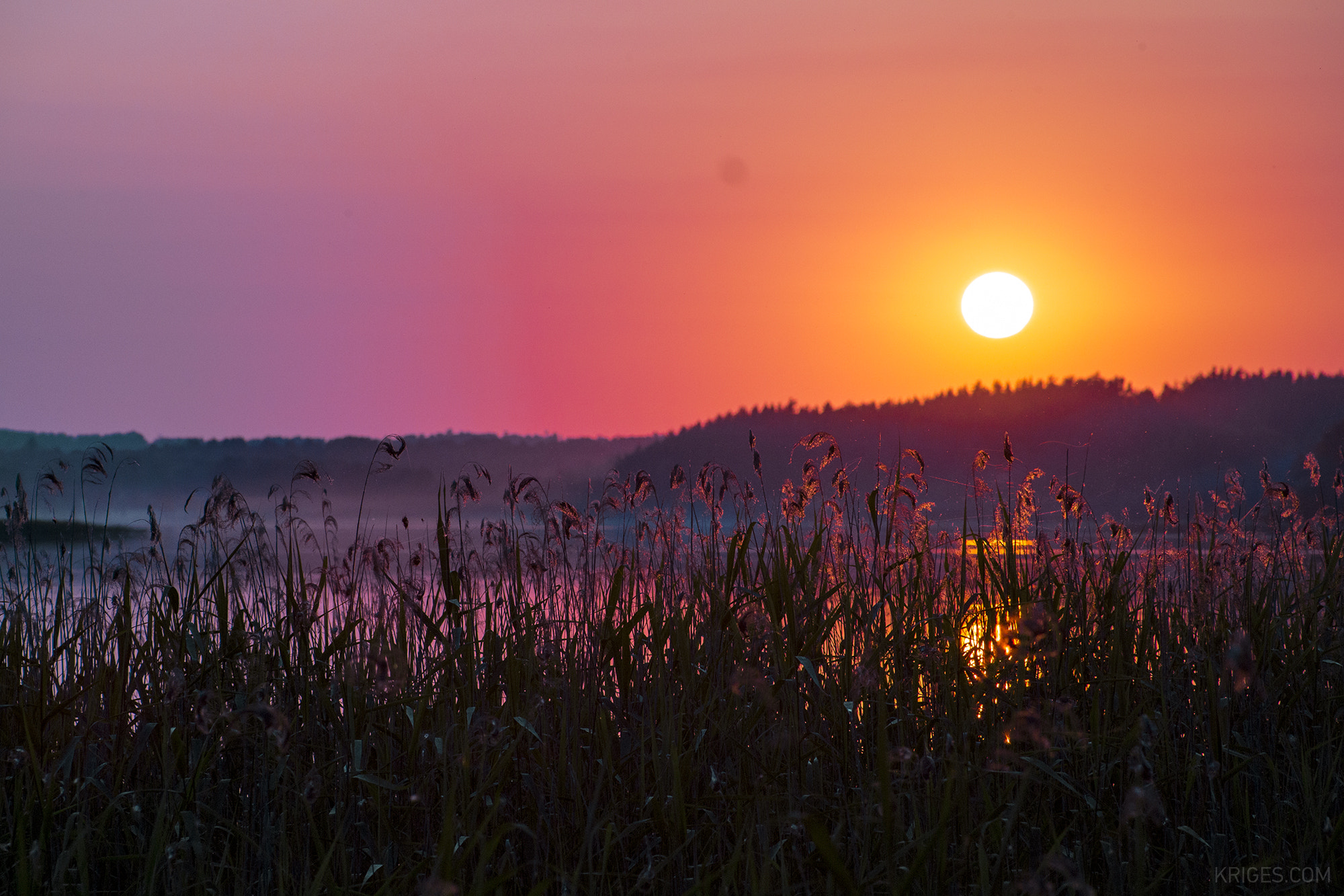 Canon EOS 6D + EF75-300mm f/4-5.6 sample photo. Evening photography
