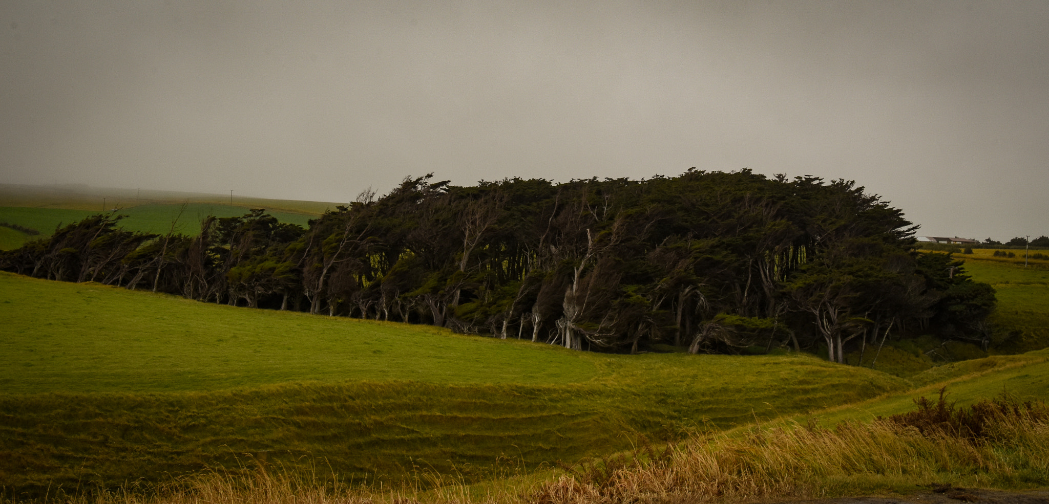 Nikon D7200 sample photo. Catlinstrees photography