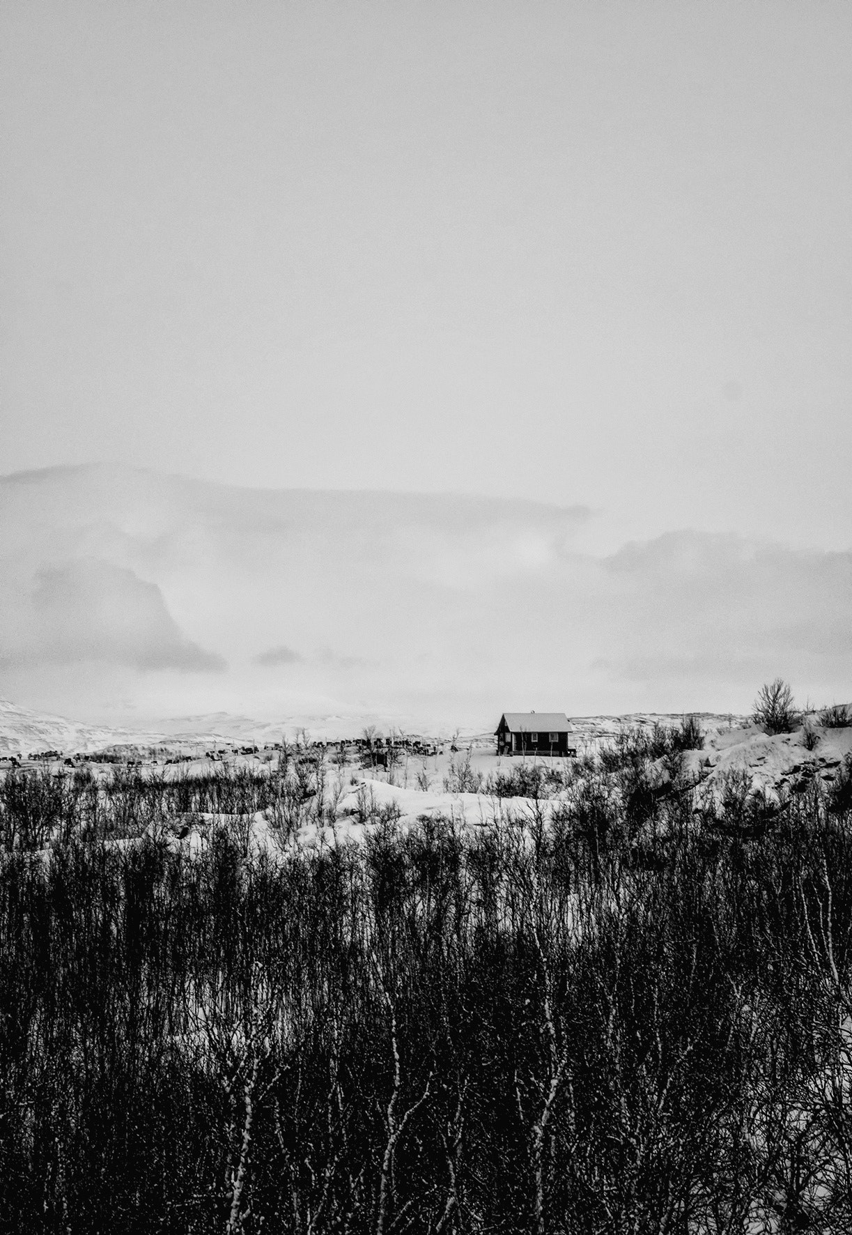 Nikon D810 sample photo. Silent photography