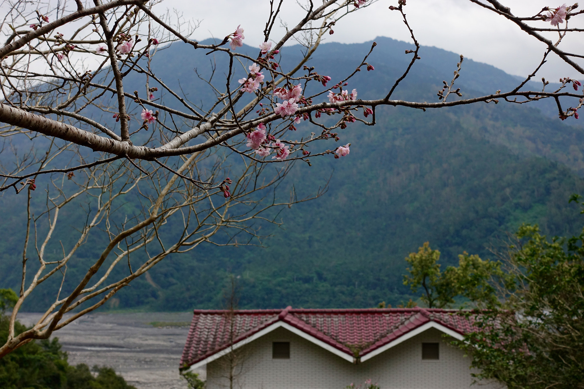 Sony DSC-RX100M5 sample photo. Doubles photography