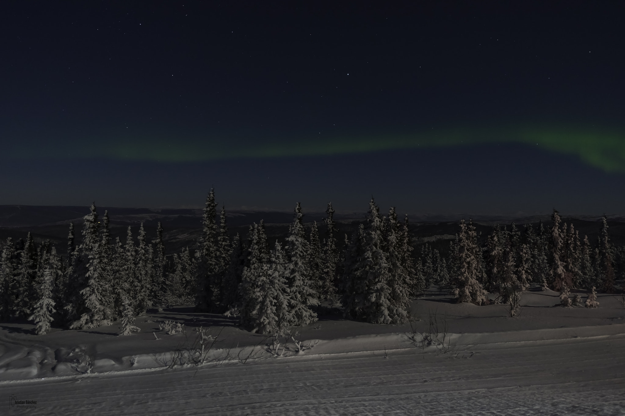 Nikon D4 sample photo. Auroras borealis photography