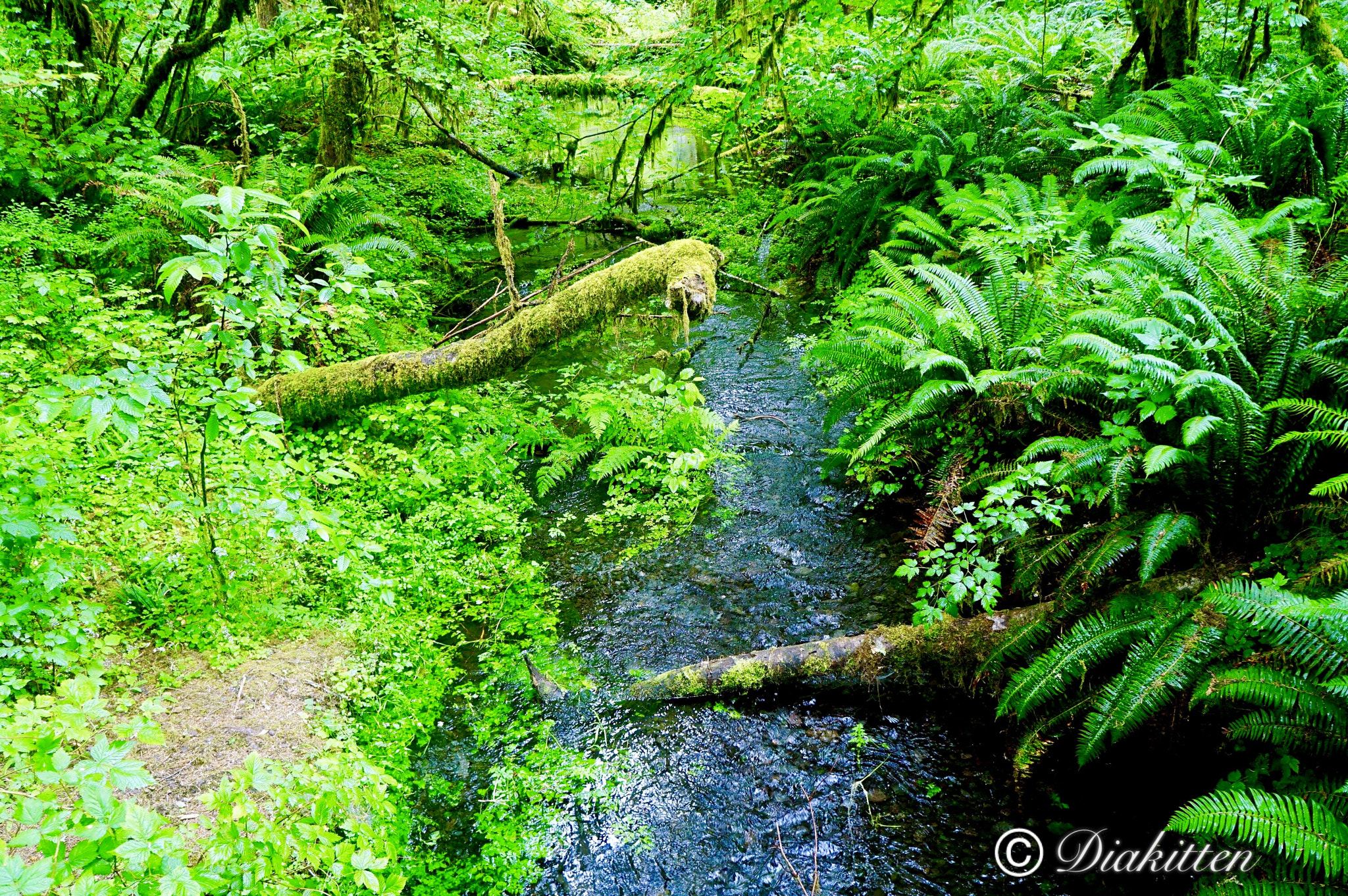 Tamron 18-200mm F3.5-6.3 Di III VC sample photo