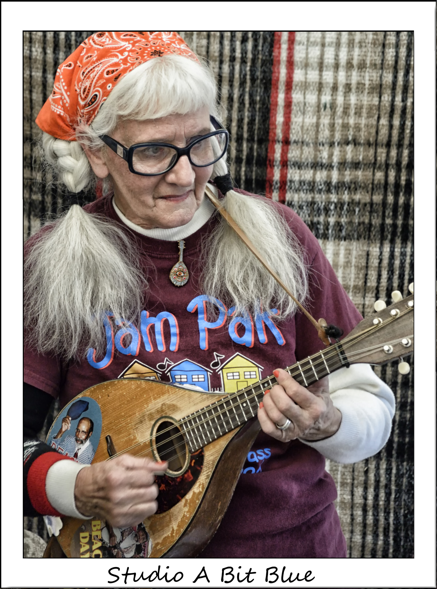 Nikon 1 V2 sample photo. The mandoline player photography