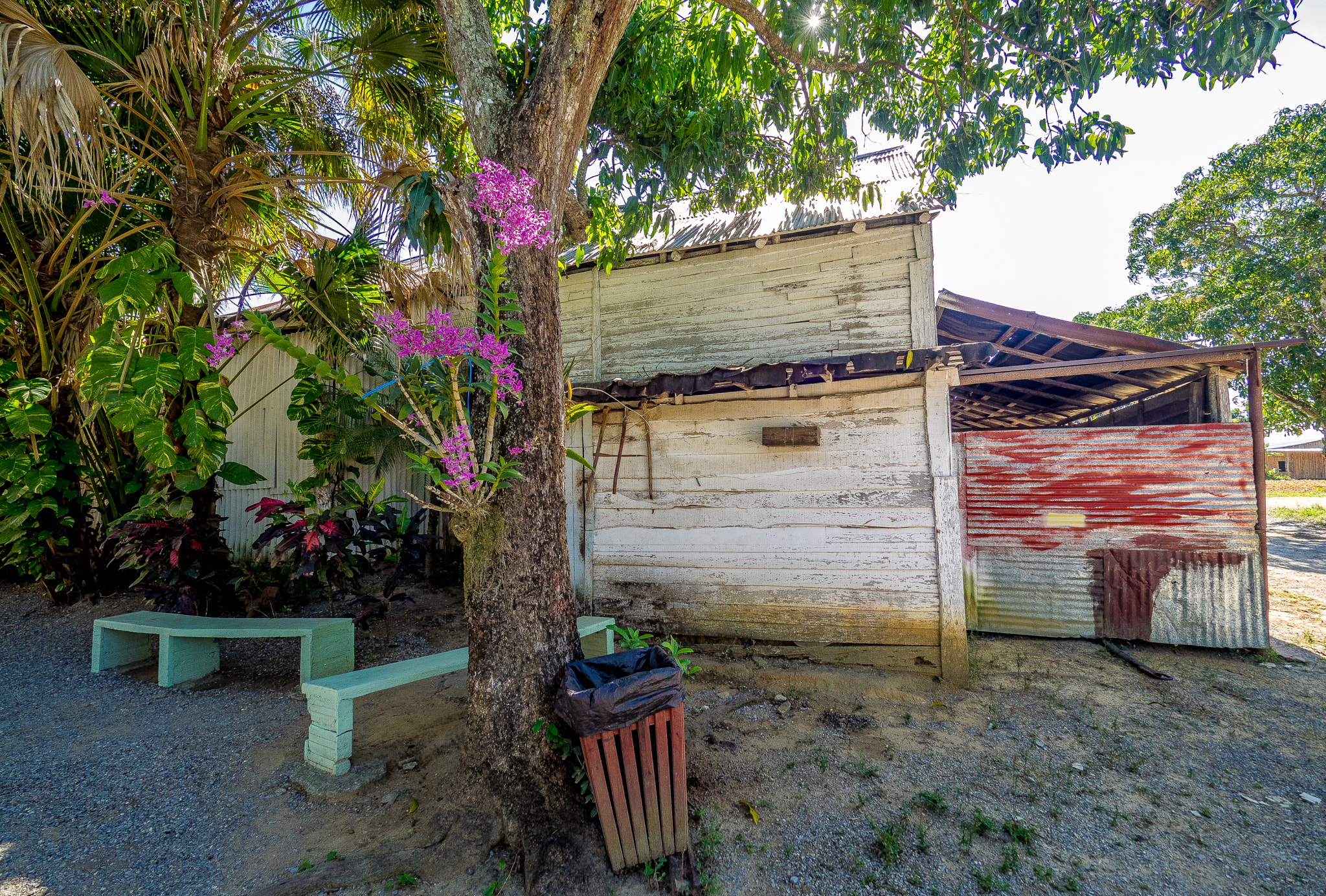 Olympus M.Zuiko Digital ED 7-14mm F2.8 PRO sample photo. Nature finds a way... photography