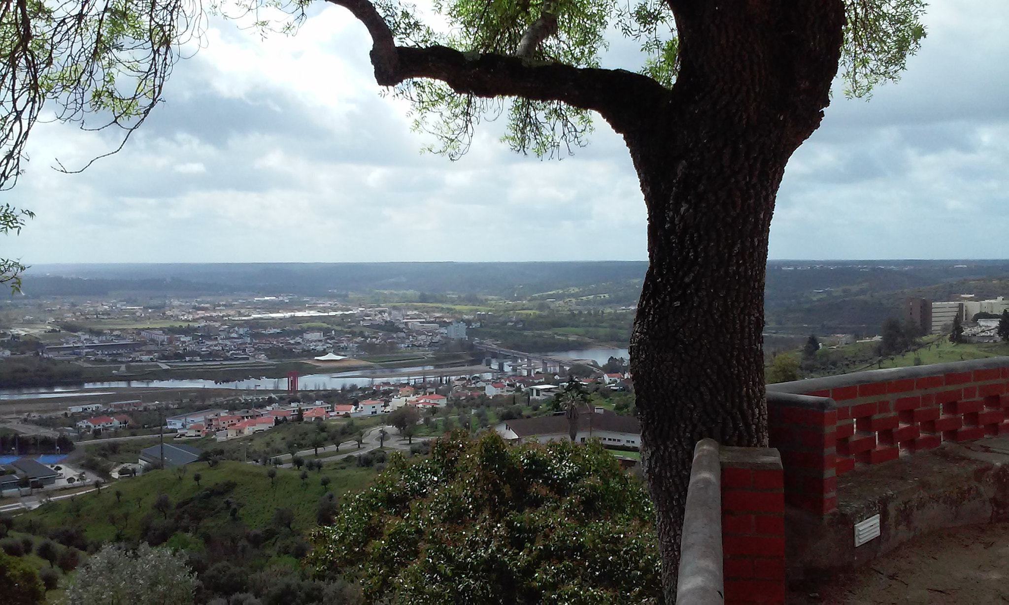 LG L70 sample photo