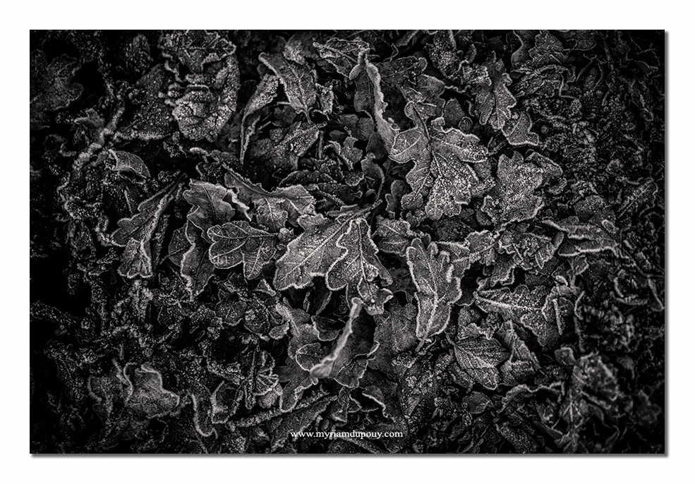 Tamron SP 35mm F1.8 Di VC USD sample photo. Not my cup of tea photography