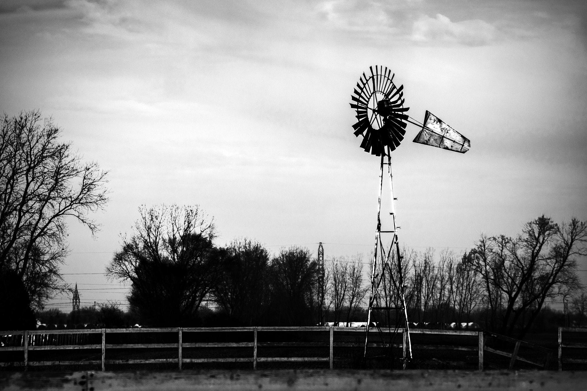 Nikon D500 sample photo. At the wind's mercy. windsor, on. photography