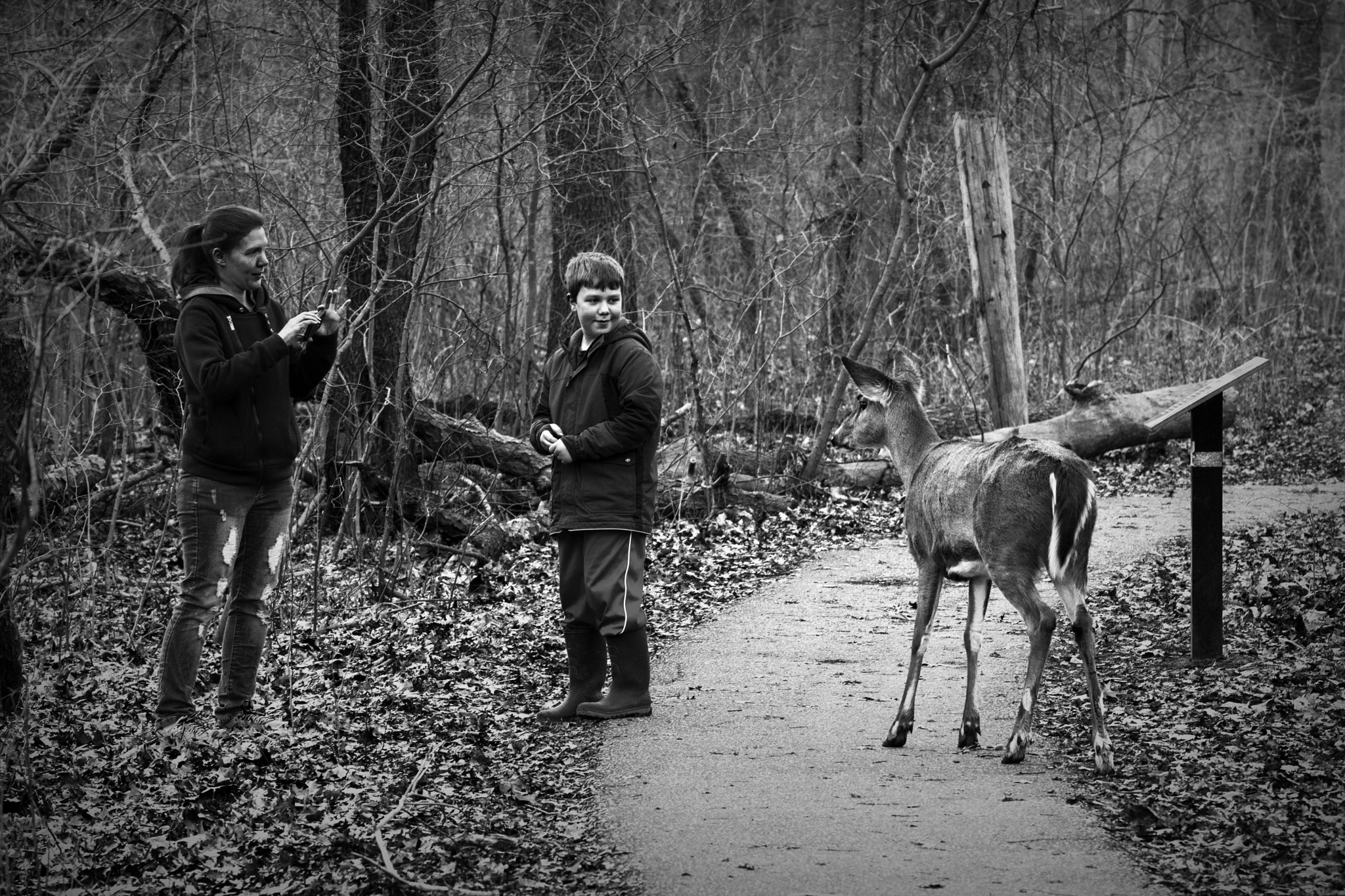 Nikon D500 sample photo. Second thoughts. windsor, on. photography
