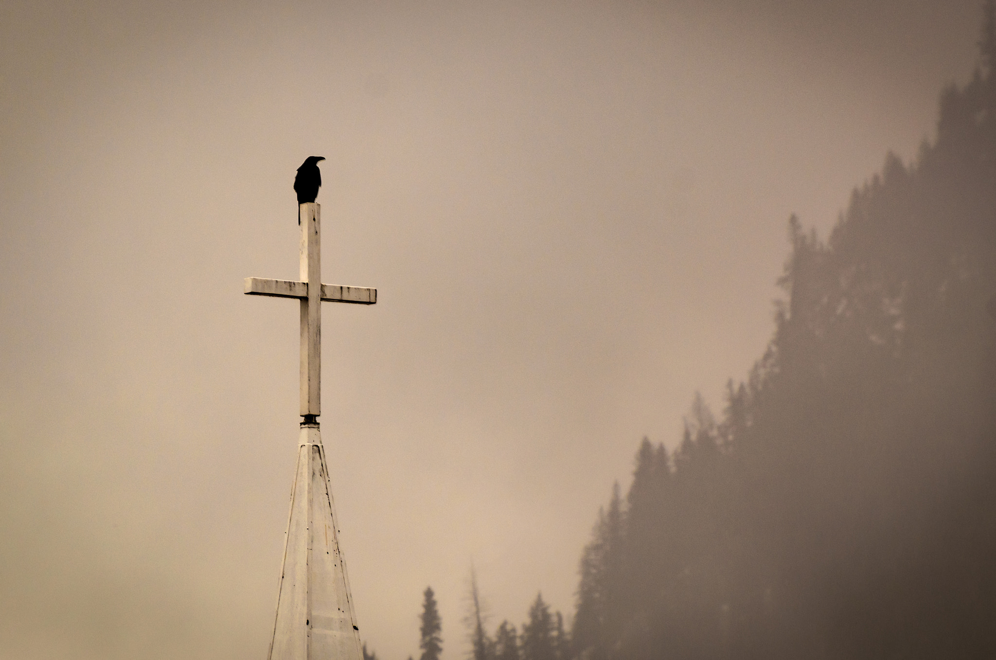 Nikon D5500 sample photo. Crow and cross photography