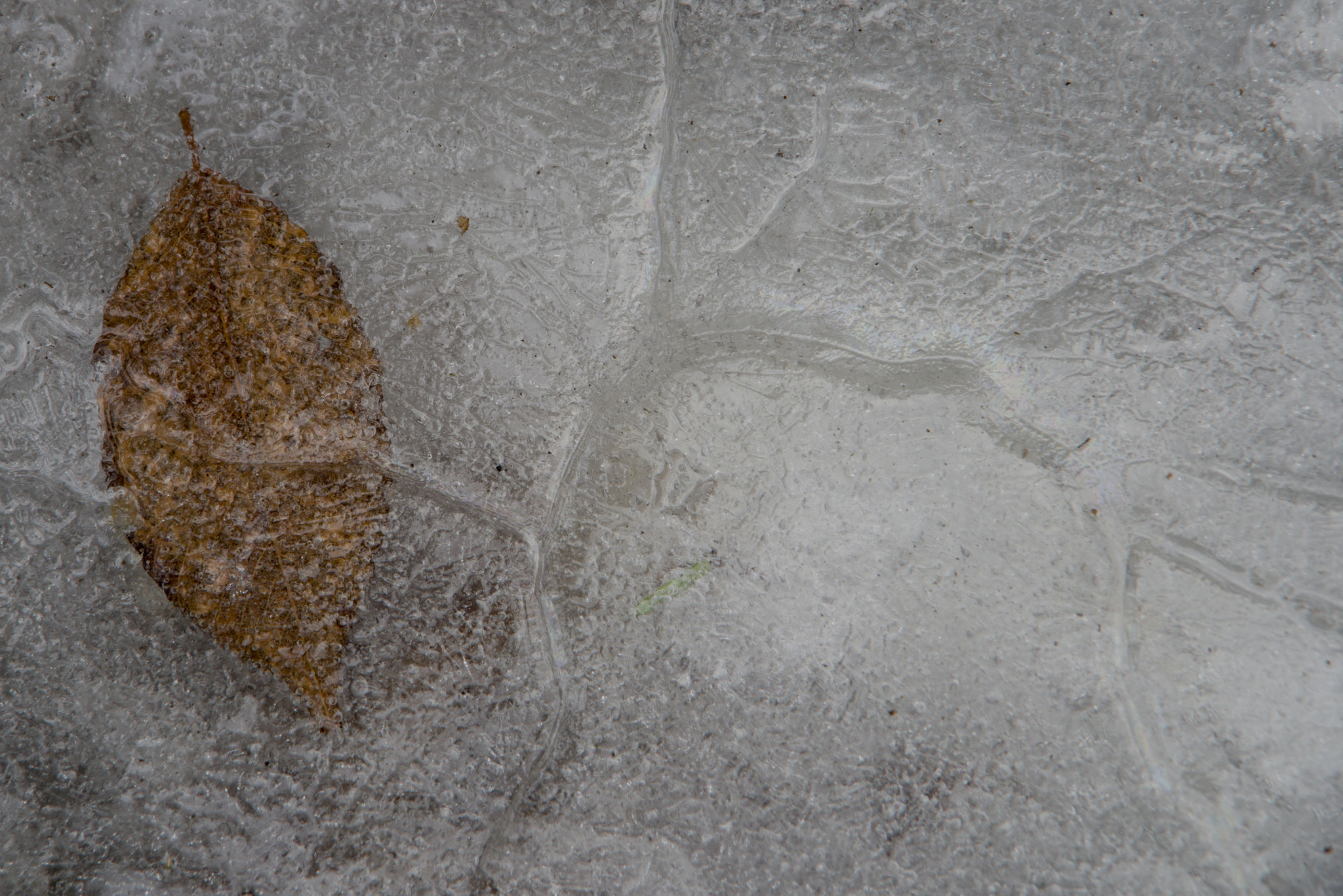 Pentax K-1 sample photo. Ice world photography