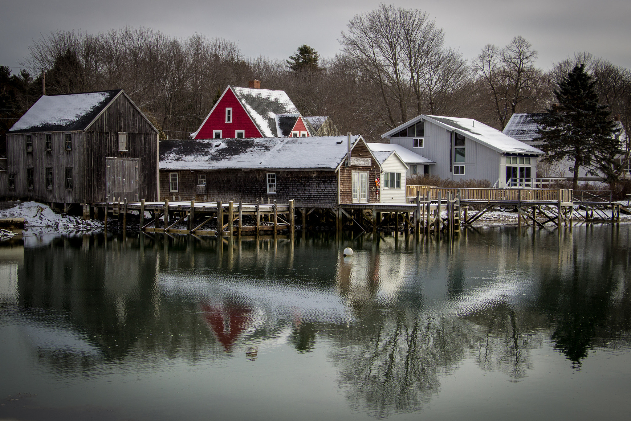 Canon EOS 600D (Rebel EOS T3i / EOS Kiss X5) sample photo. Cape porpoise photography