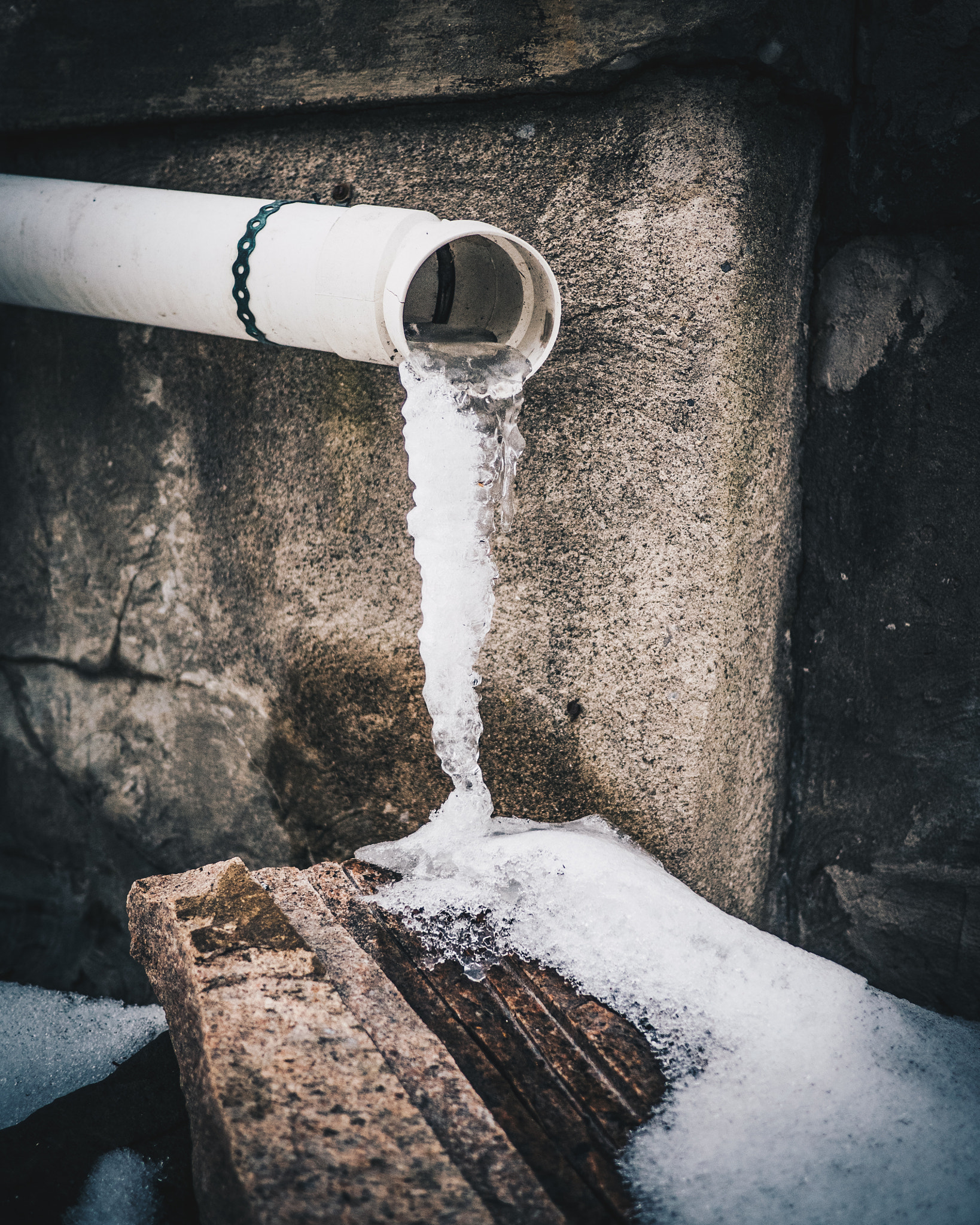 Olympus OM-D E-M5 II + LUMIX G 20/F1.7 II sample photo. Frozen photography