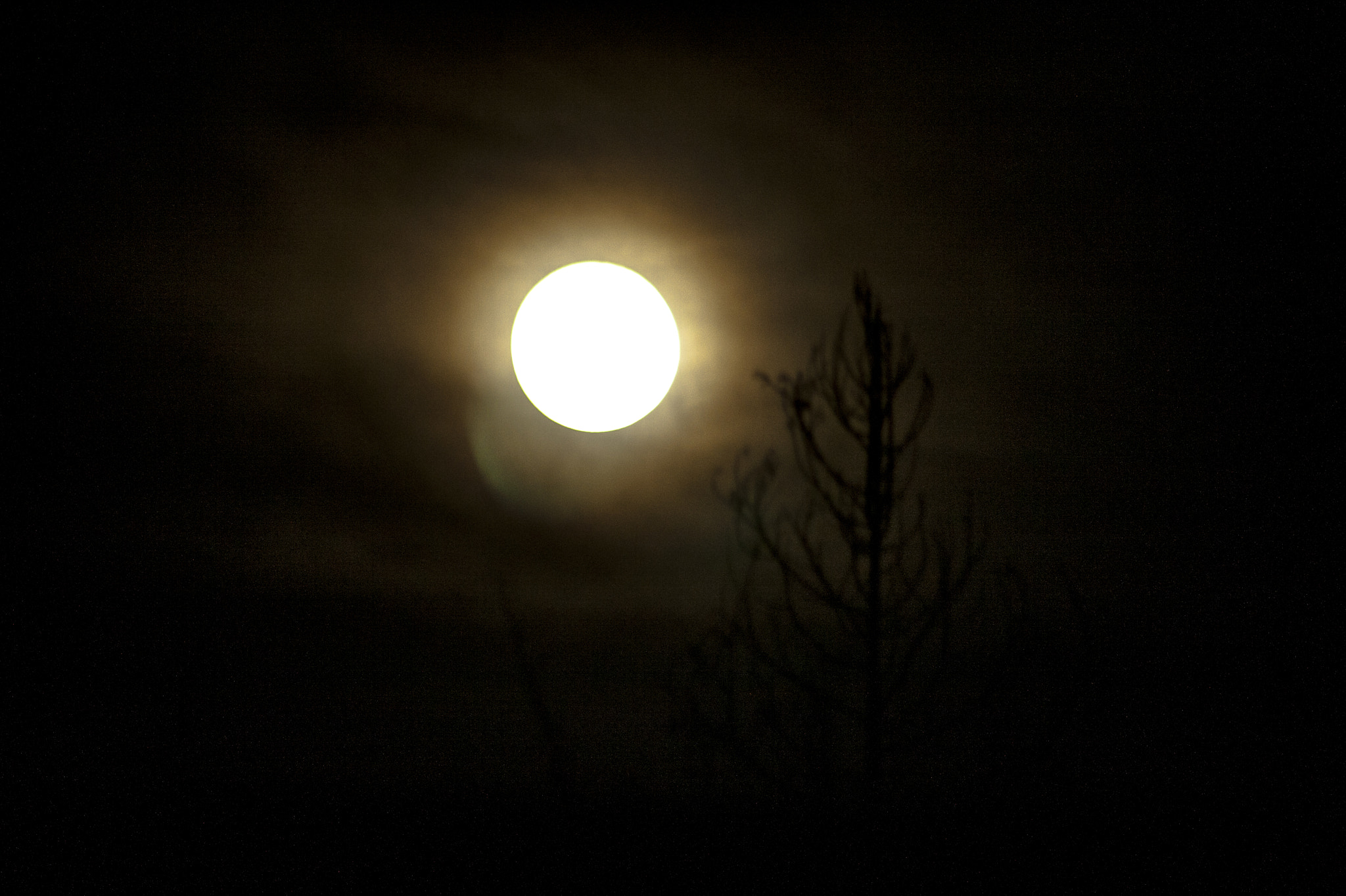 Canon EF 75-300mm f/4-5.6 USM sample photo