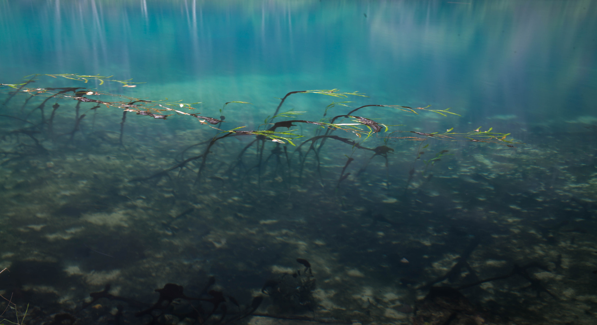 Elmarit-M 1:2.8/21 sample photo. Guizhou images photography