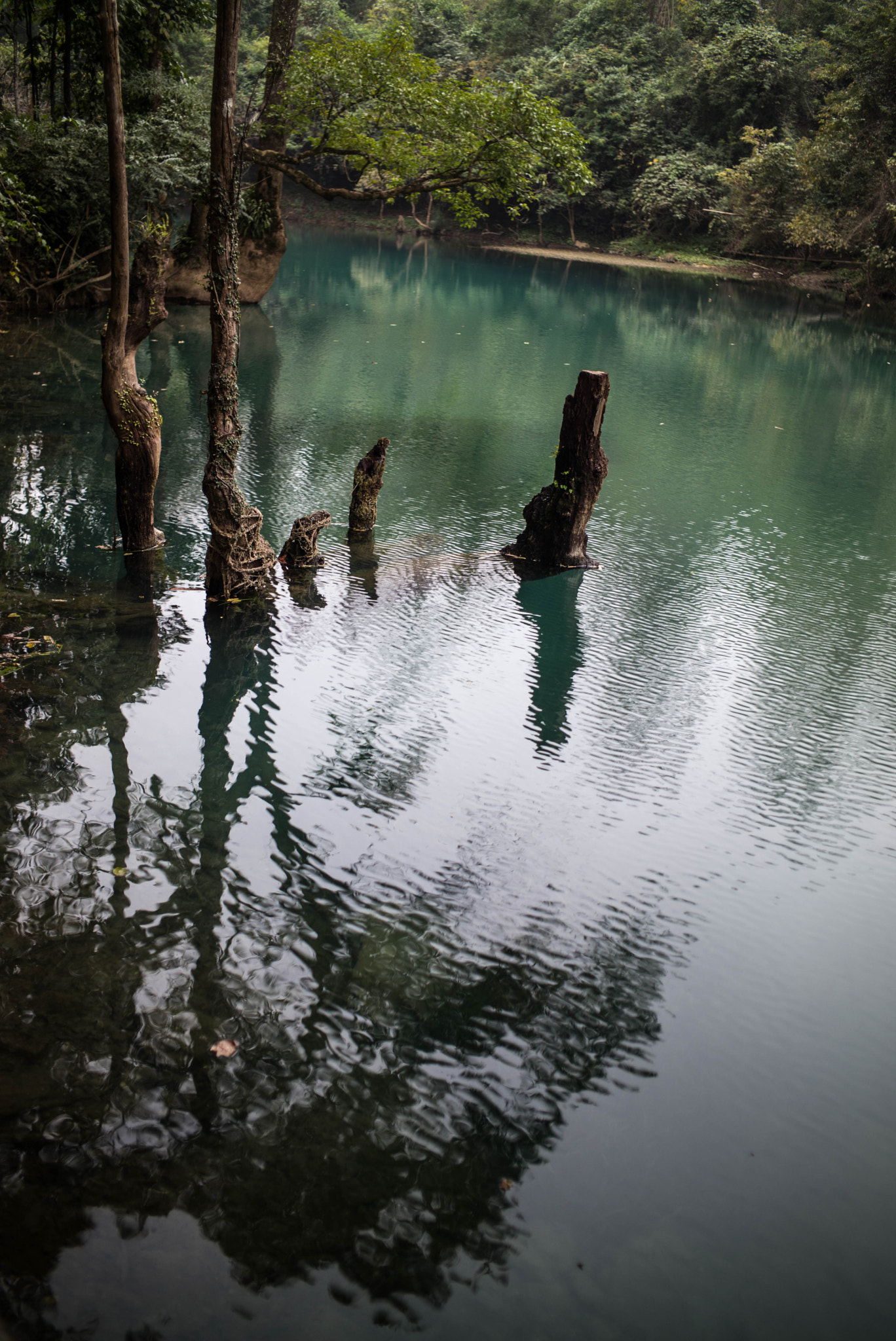 Elmarit-M 1:2.8/21 sample photo. Guizhou images photography