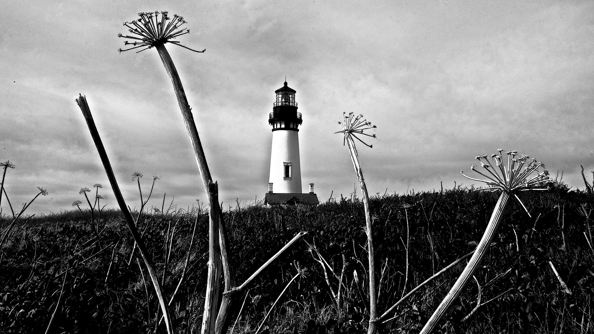Pentax K-5 + Pentax smc DA 16-45mm F4 ED AL sample photo. Yaquina head lighthouse photography