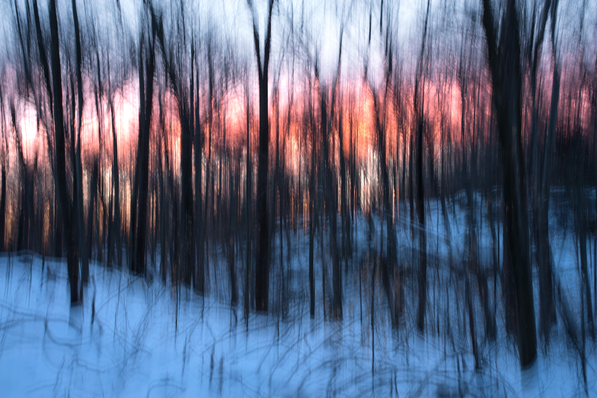Pentax K-1 sample photo. Forest sunset impressionism photography