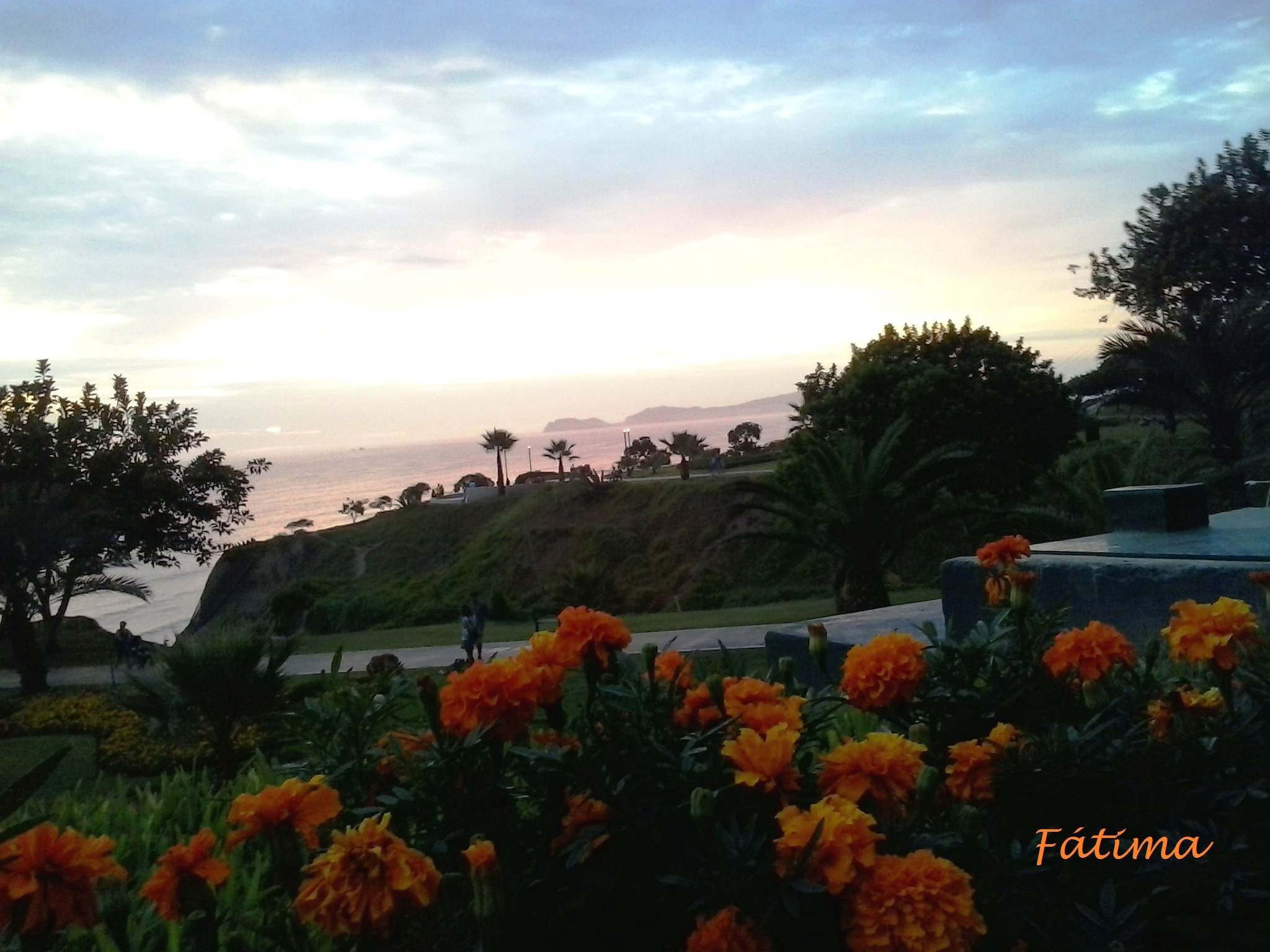 Samsung Galaxy Music Duos sample photo. Flores en el atardecer. photography