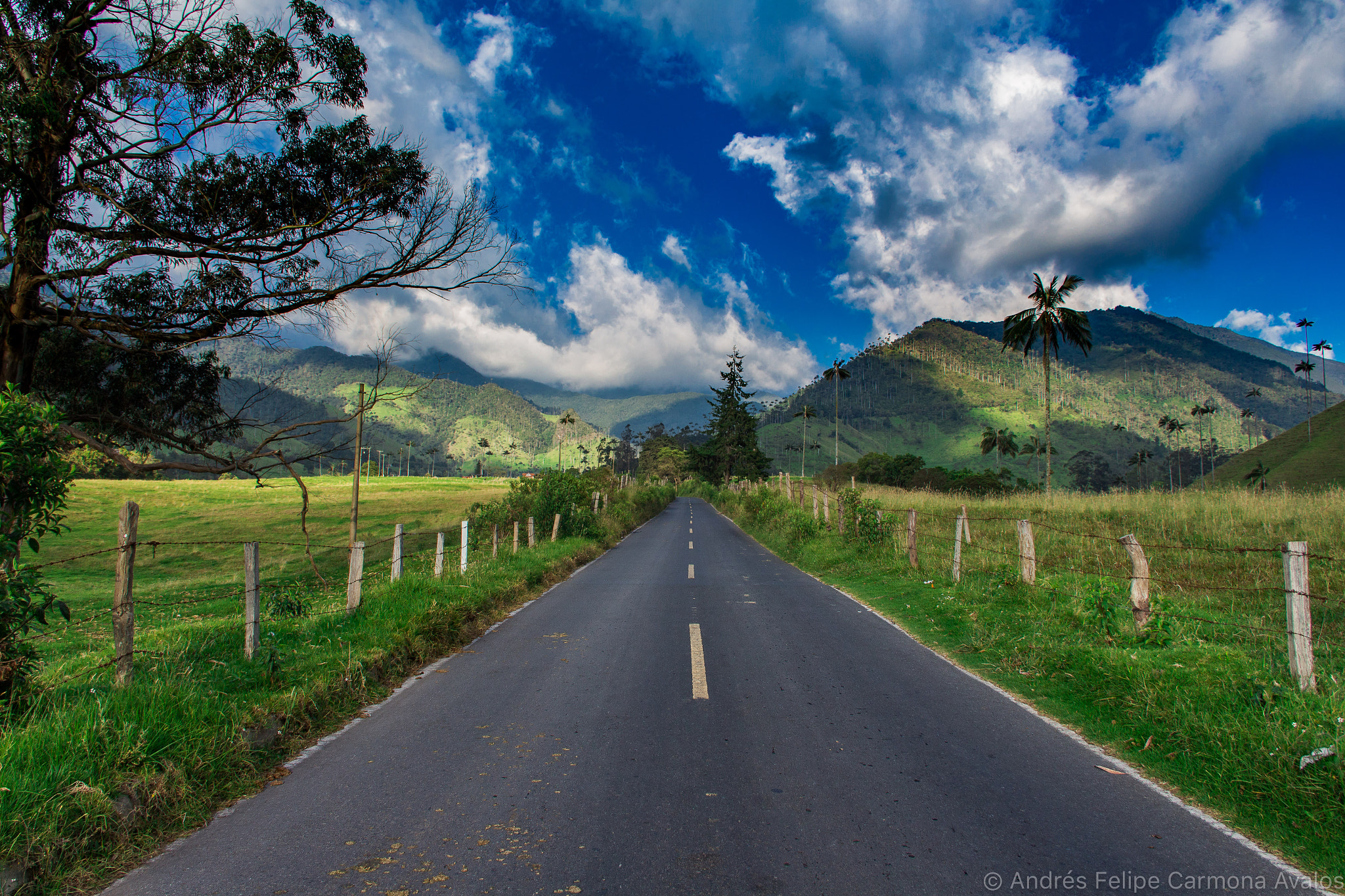 Canon EF-S 18-135mm F3.5-5.6 IS sample photo. Camino al valle del cocora photography