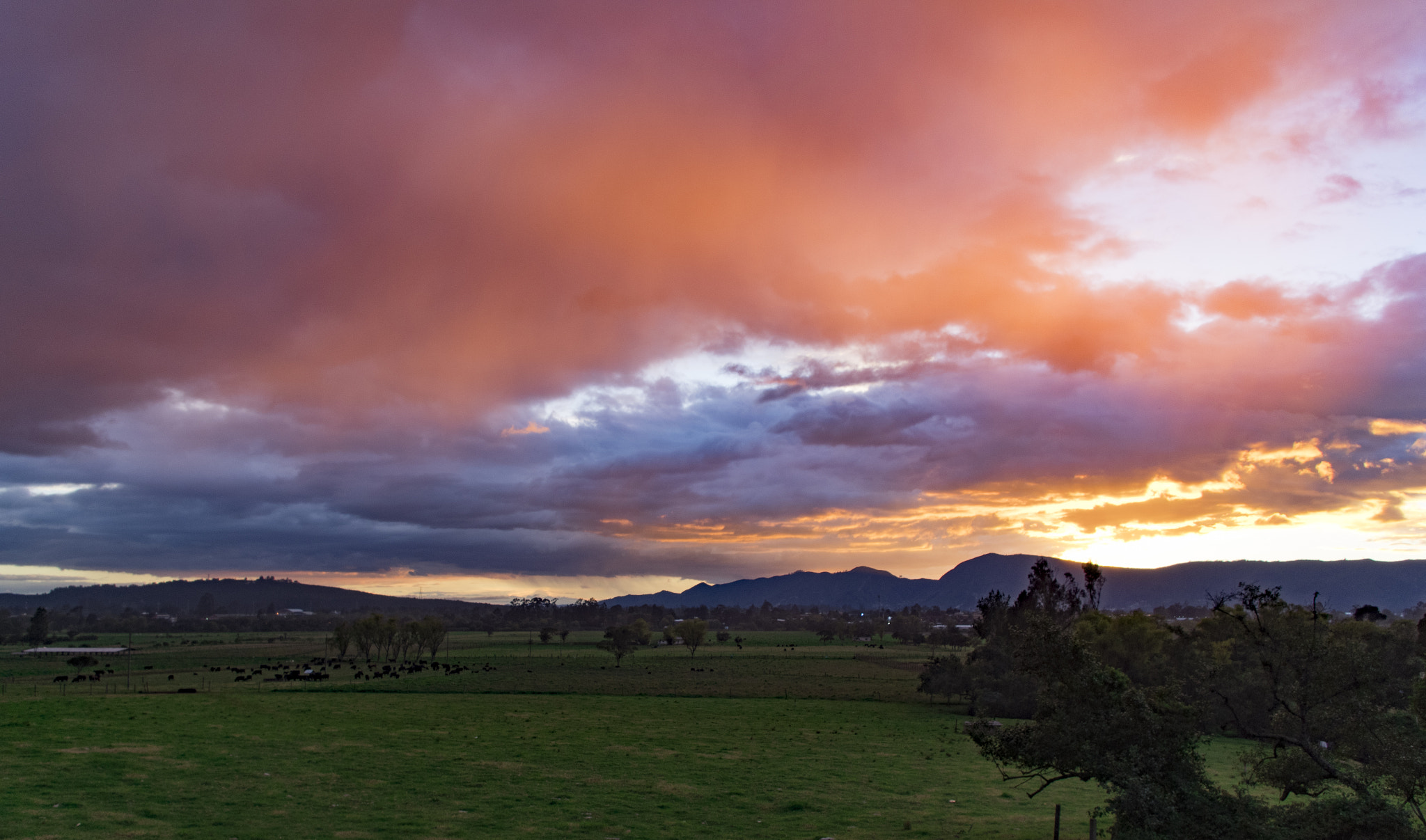 Pentax K-S2 sample photo. Sunsetbogota photography