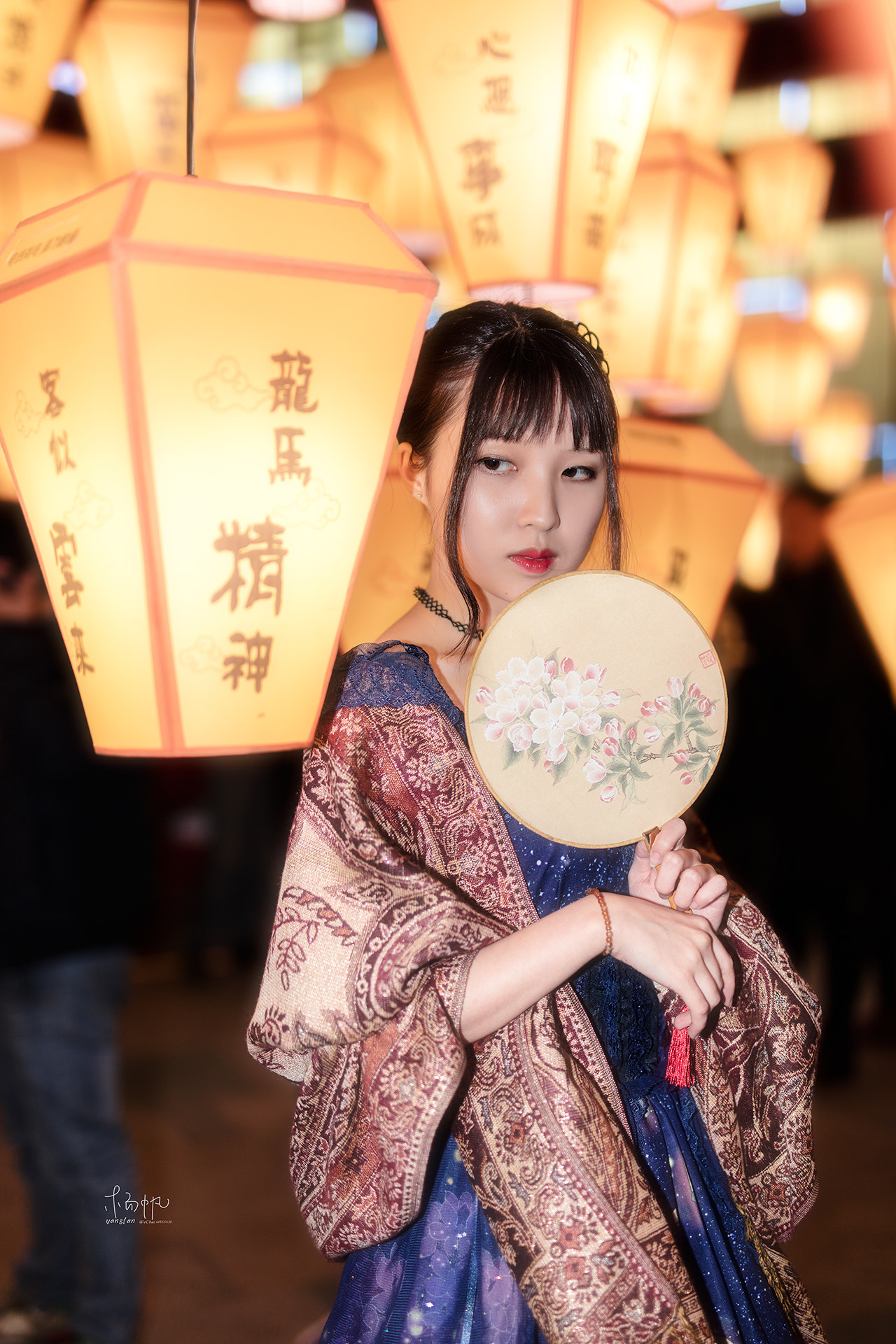 Sigma 50mm F1.4 EX DG HSM sample photo. 明灯 photography