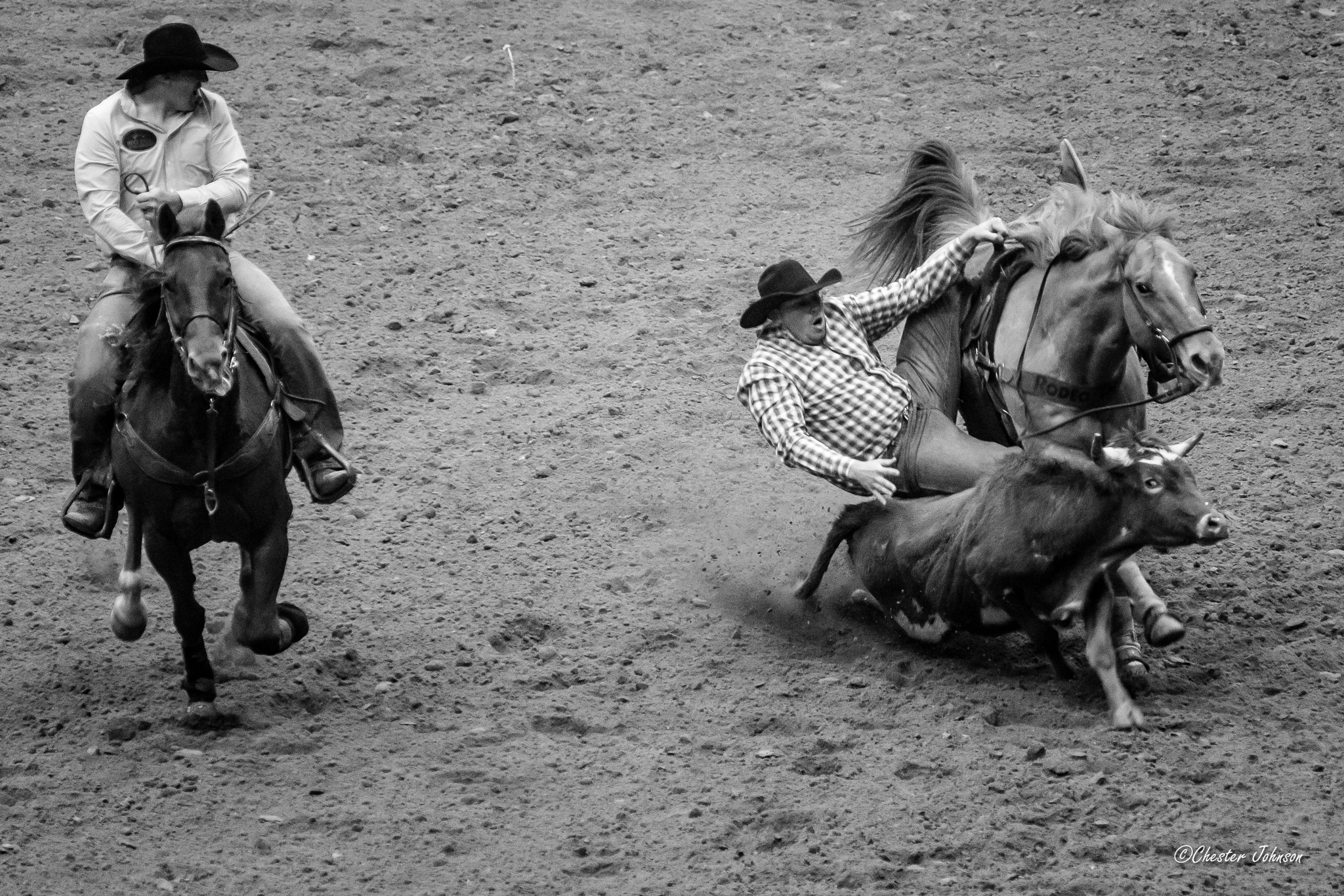 Nikon AF-Nikkor 80-200mm F2.8D ED sample photo. Steer wrestling photography