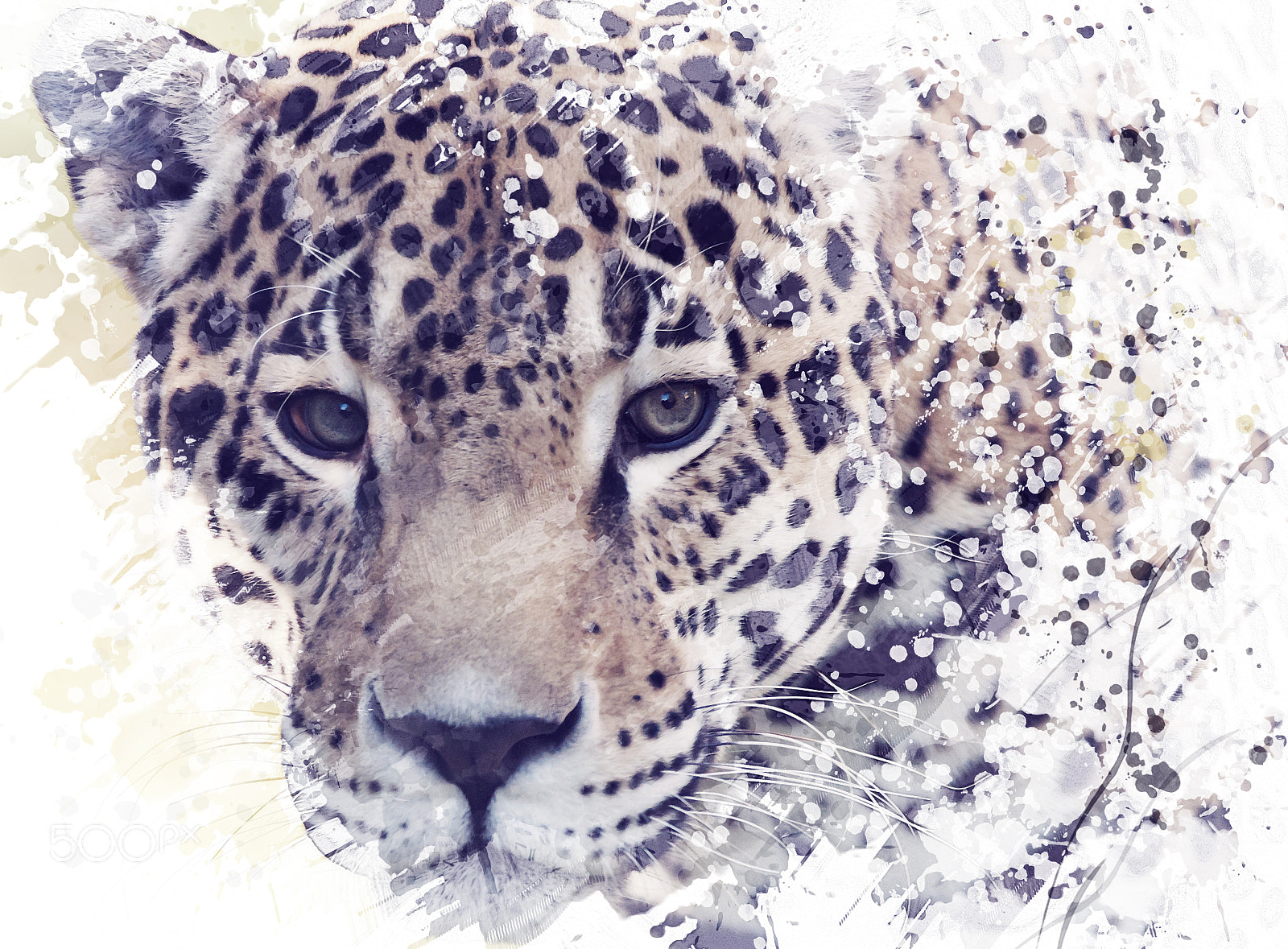 Nikon D800 sample photo. Leopard portrait watercolor photography