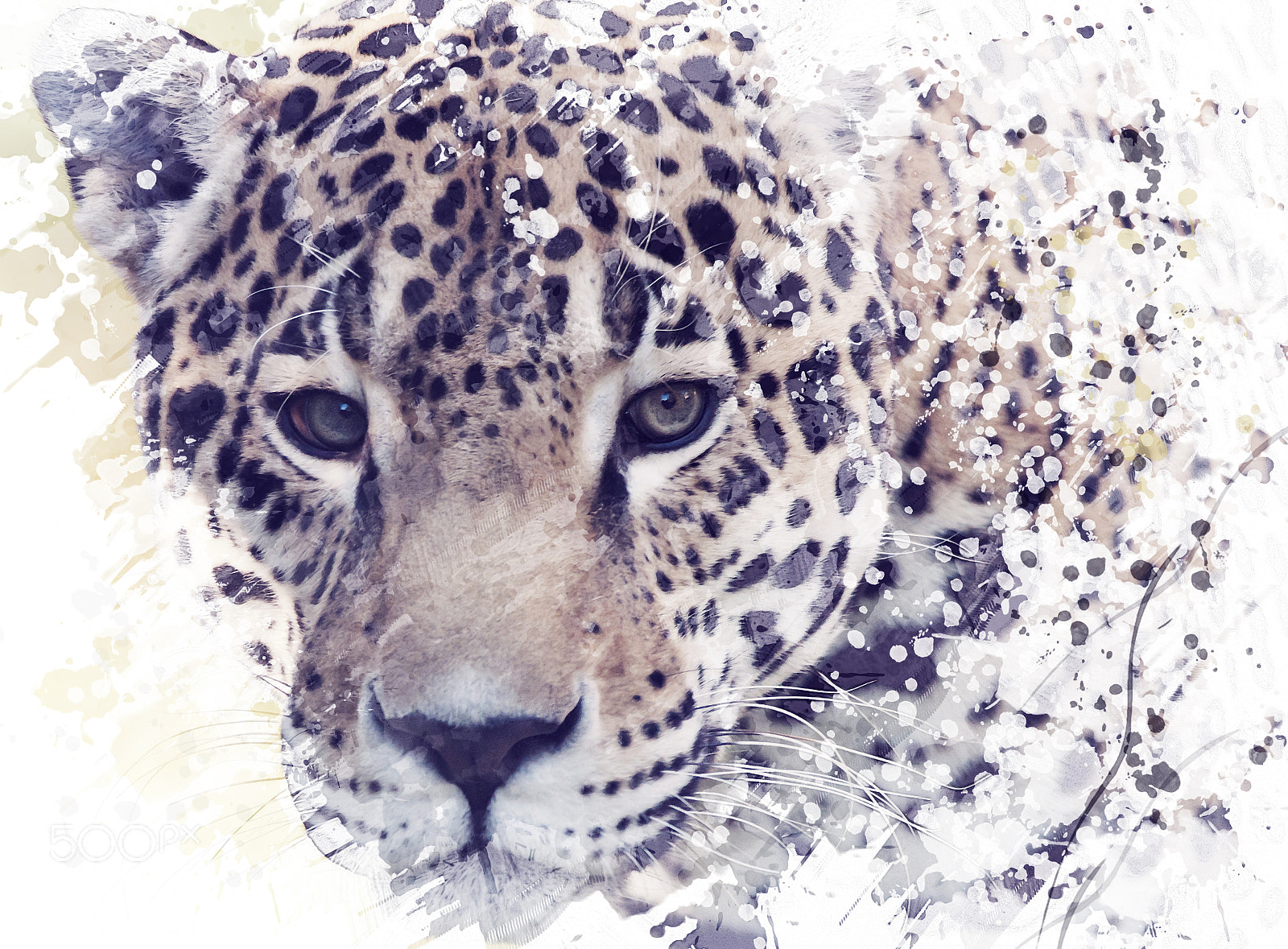 Nikon D800 + Nikon AF-S Nikkor 300mm F4D ED-IF sample photo. Leopard portrait watercolor photography