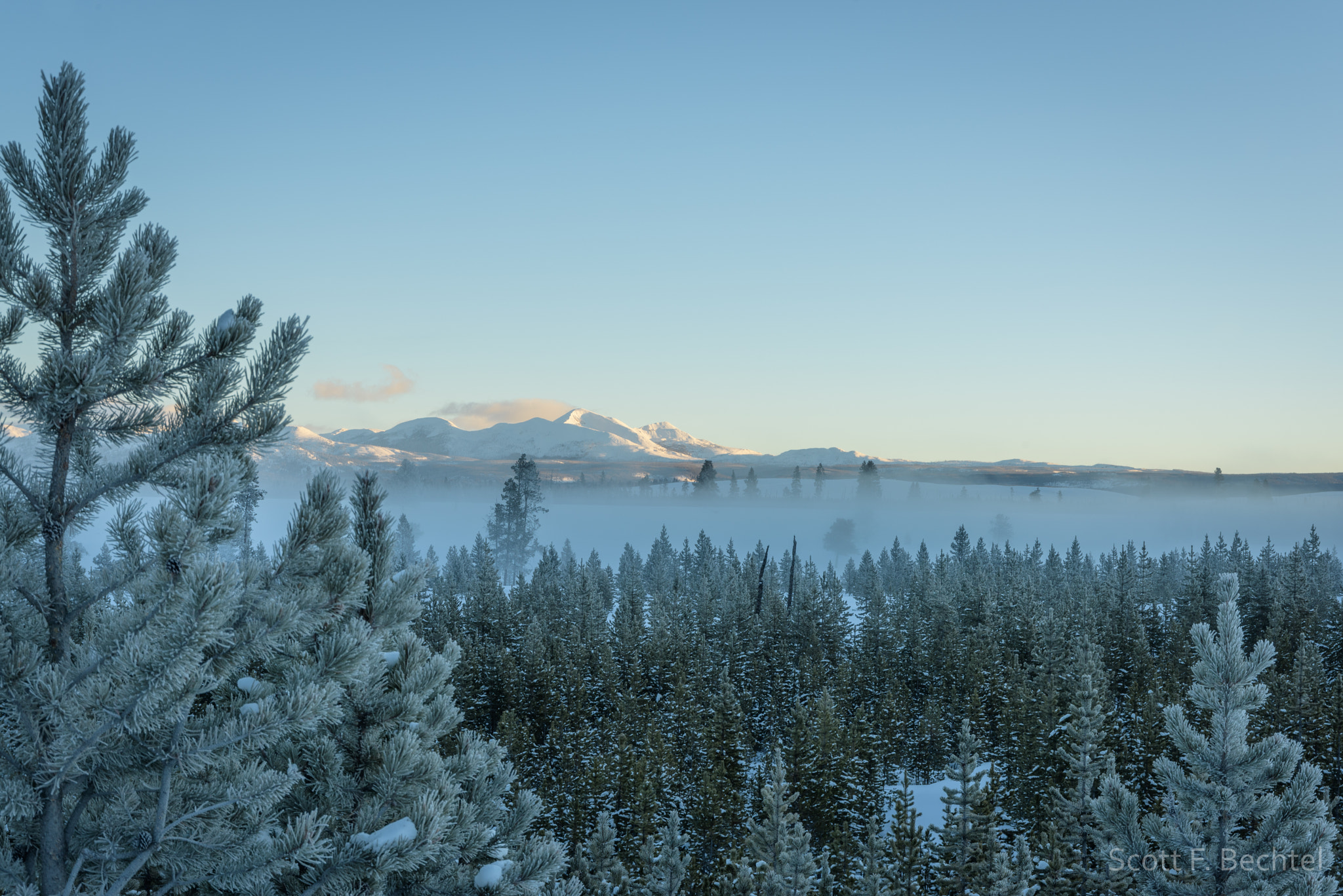 Nikon D810 sample photo. Sunrise across the madison river - yellowstone np photography