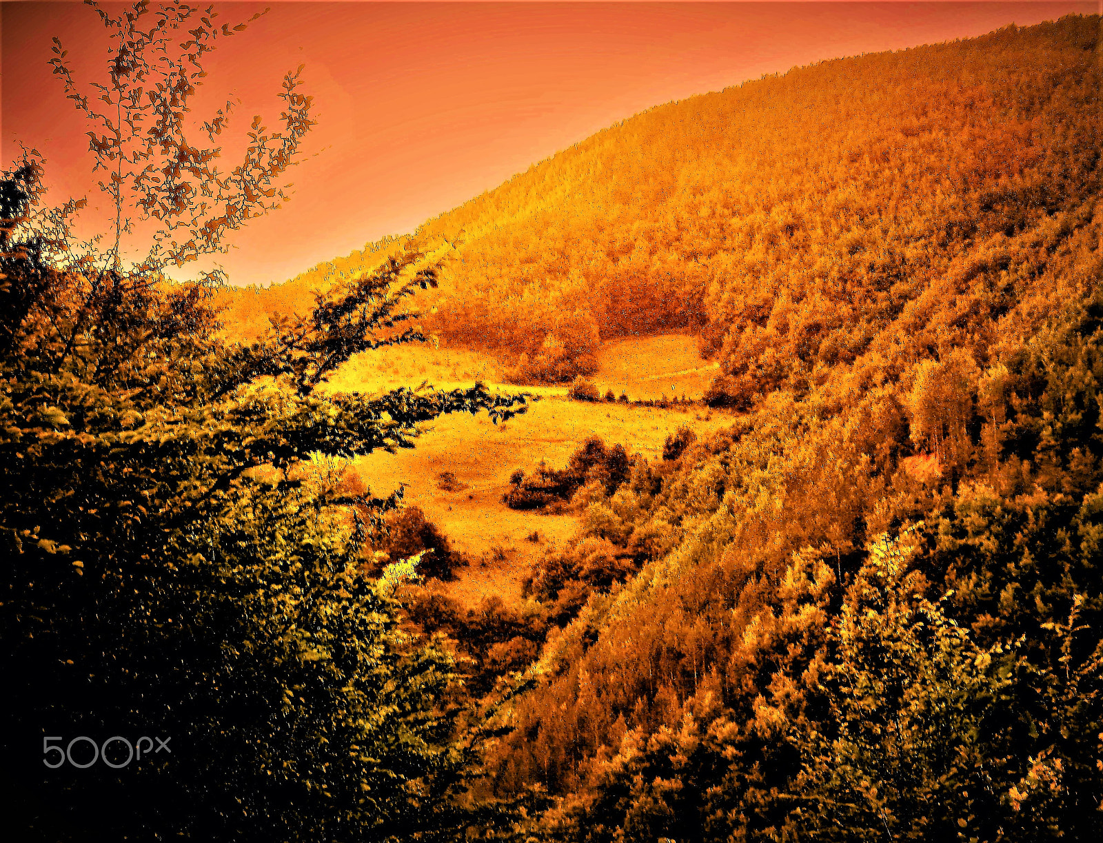 Kodak EASYSHARE CAMERA, C1450 sample photo. ~ the hidden heart photography