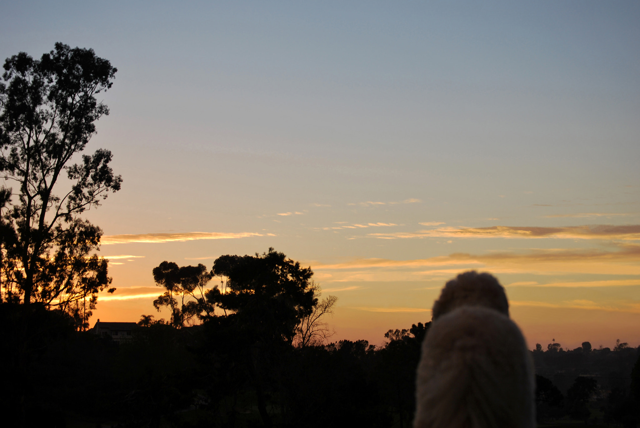 Nikon D60 sample photo. Max photography