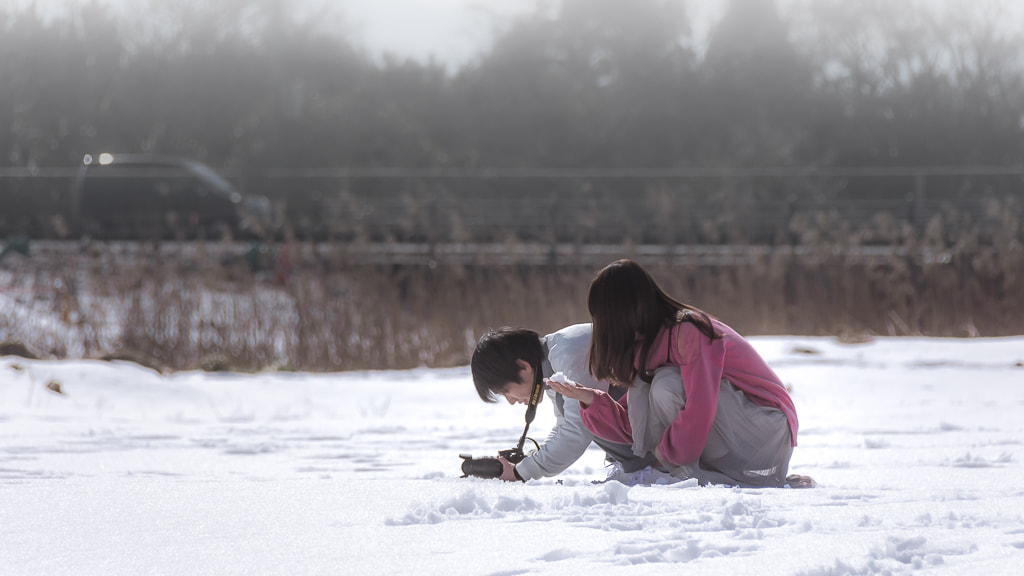 Nikon D7200 sample photo