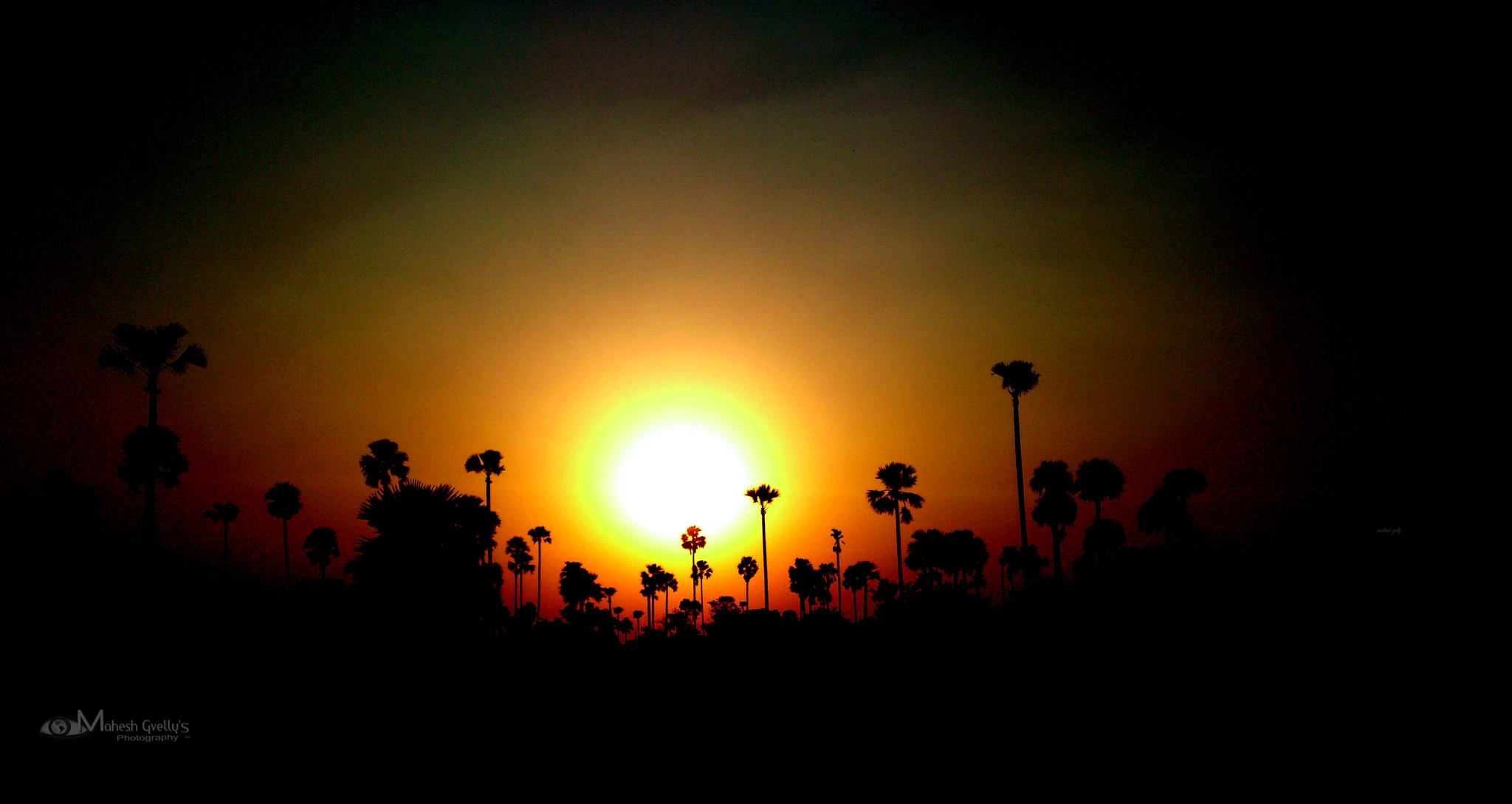 Sony Ericsson Xperia S sample photo. Beautiful sunset over trees photography