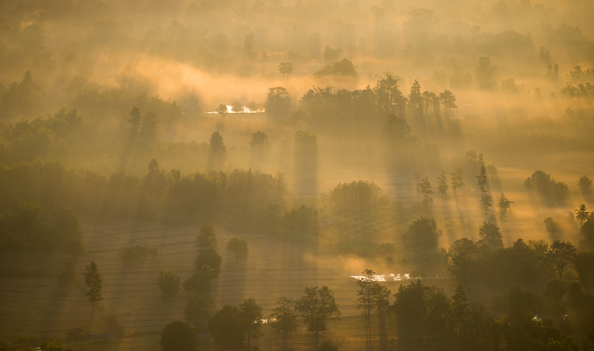 Nikon Df sample photo. Rising loei photography