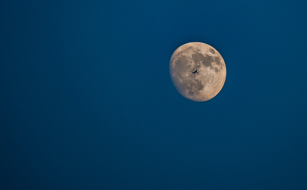 Nikon D7200 sample photo