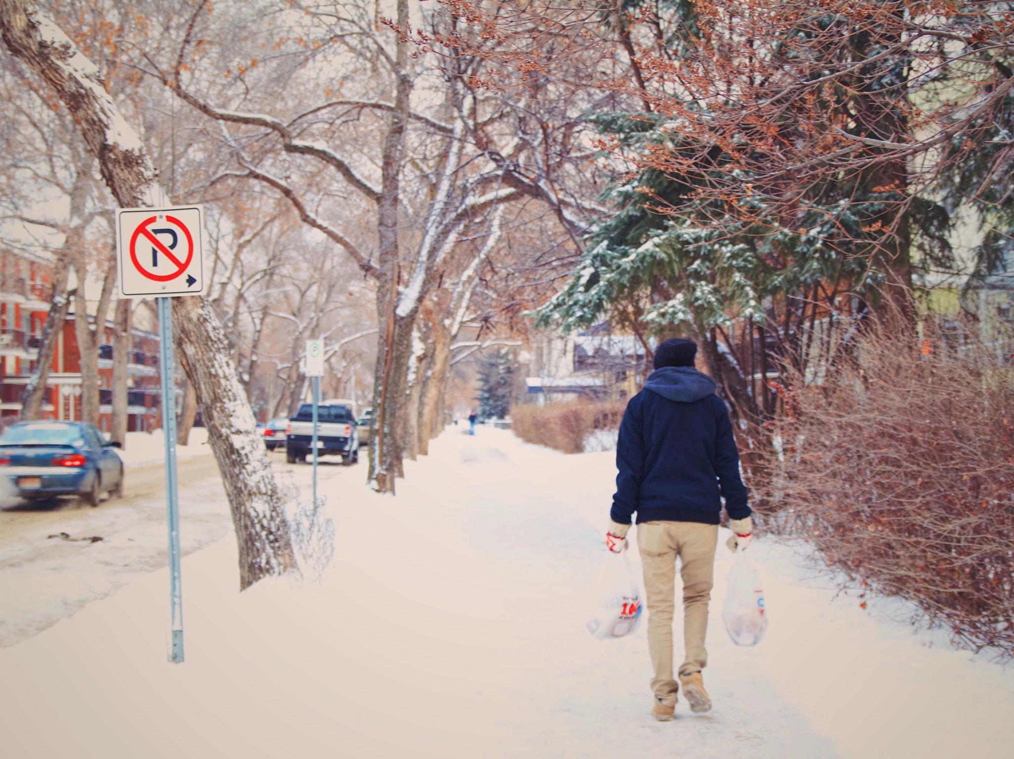 Canon EOS 7D sample photo. Grocery run photography