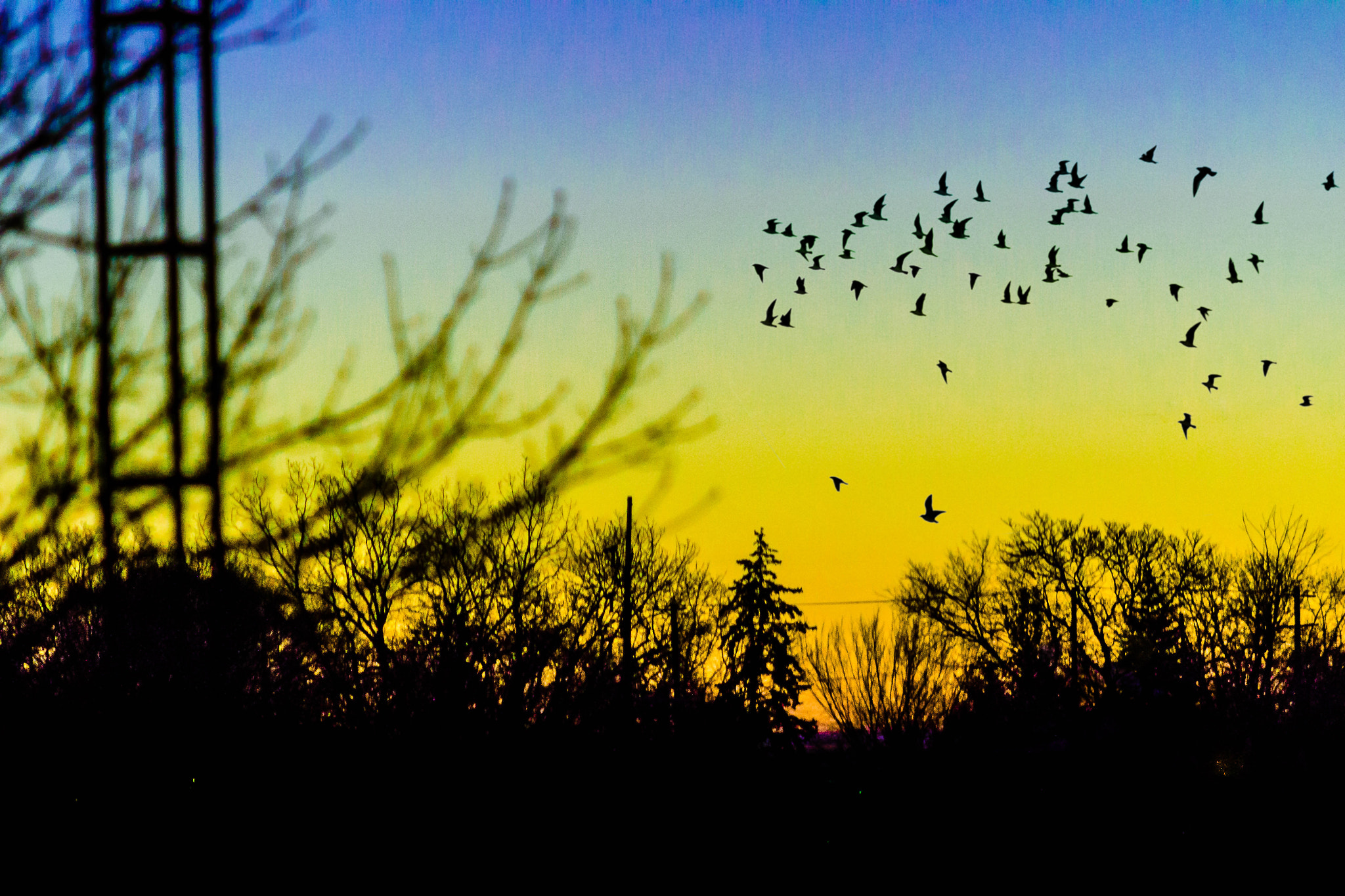 Canon EF 75-300mm f/4-5.6 USM sample photo. Waking back to life photography