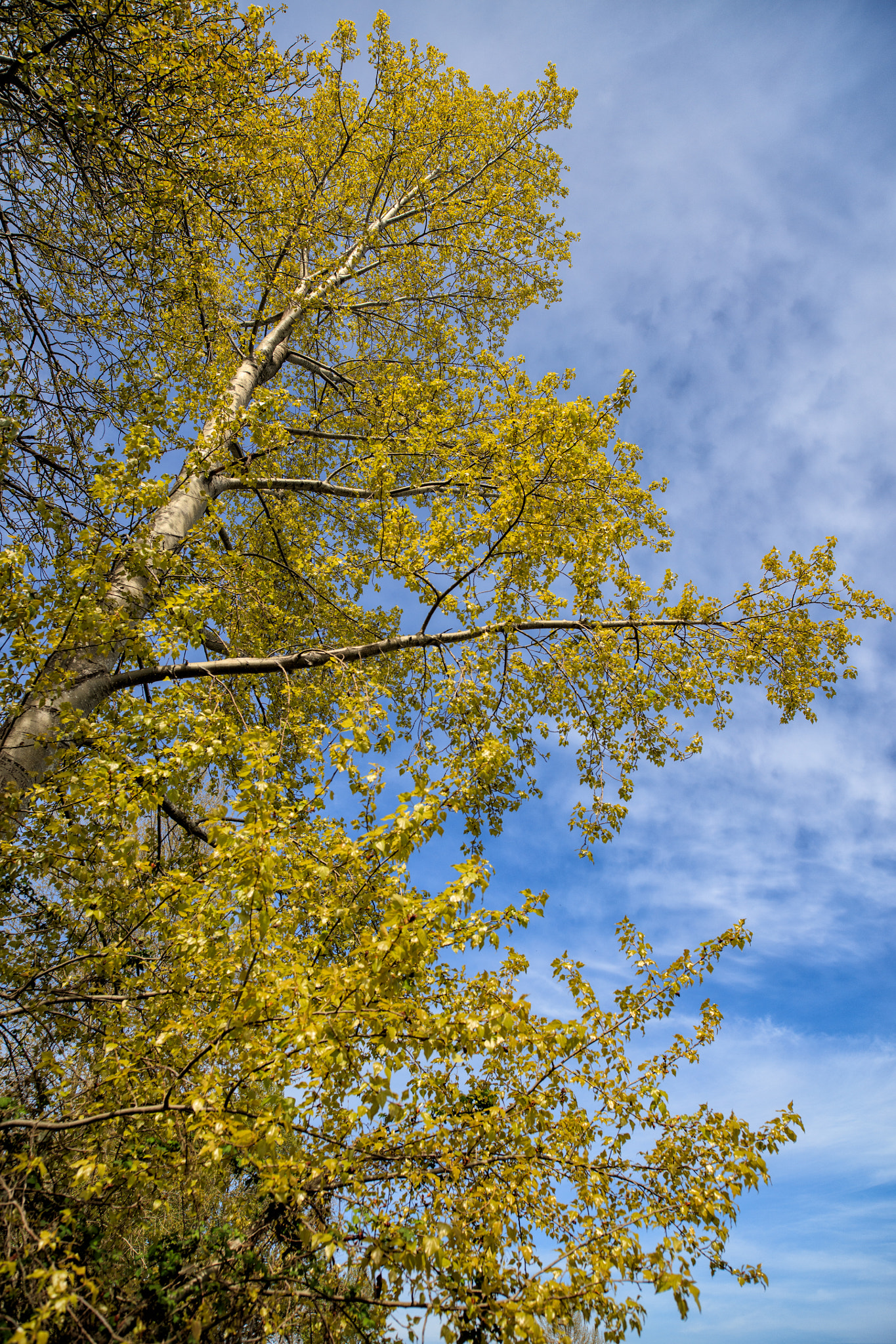 Canon EOS 5DS R sample photo. Fill my eyes photography