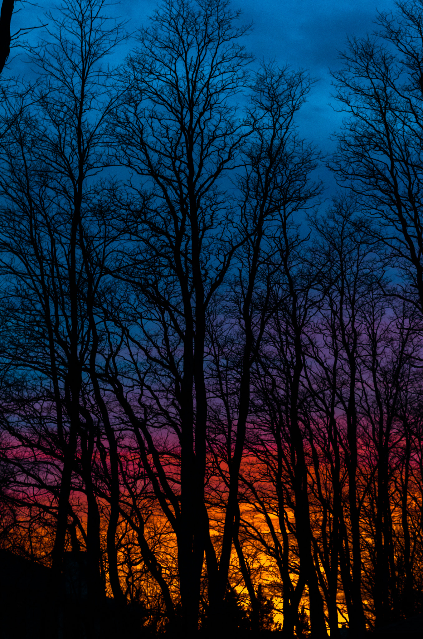 Pentax K-50 + Pentax smc DA 50mm F1.8 sample photo. Suburban sunsets photography