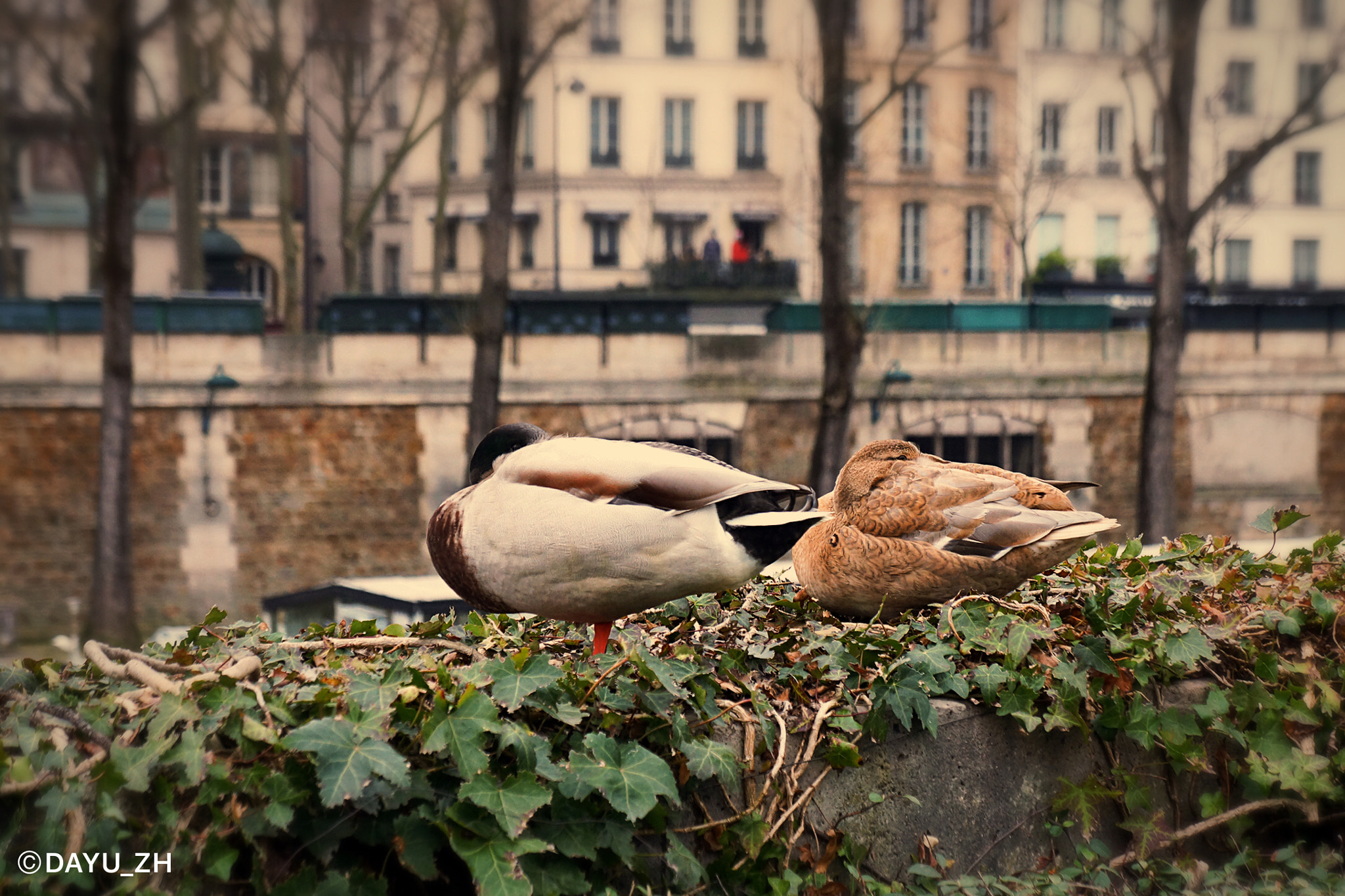 Sony E 18-55mm F3.5-5.6 OSS sample photo. On the bank of the seine river photography