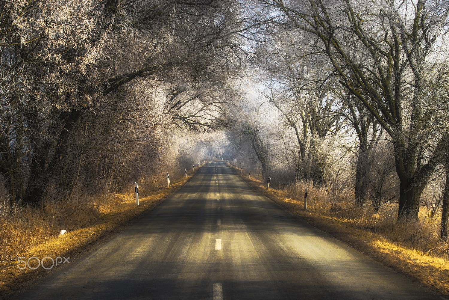 Nikon AF-S Nikkor 70-200mm F4G ED VR sample photo. Morning road photography