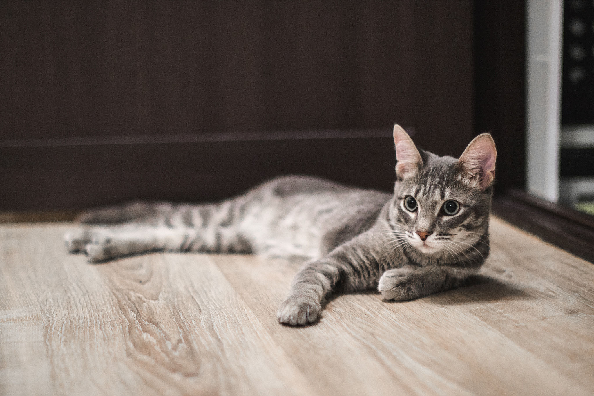 Canon EF 50mm F1.4 USM sample photo. Сима photography