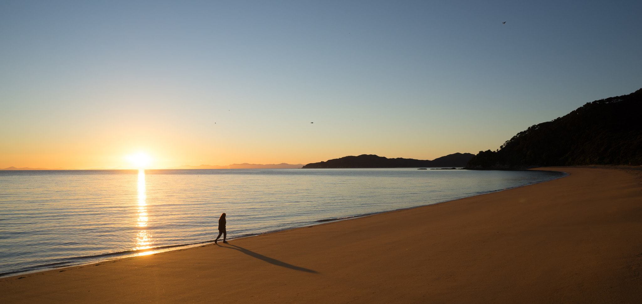 Sony a7 + ZEISS Batis 25mm F2 sample photo. Dawn at totaranui photography