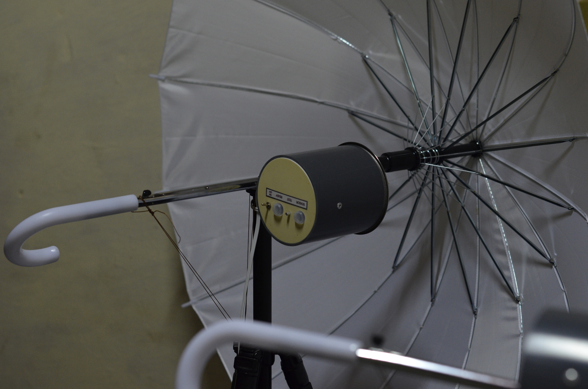 Nikon D5100 + Nikon AF-S Nikkor 50mm F1.4G sample photo. Dsc photography