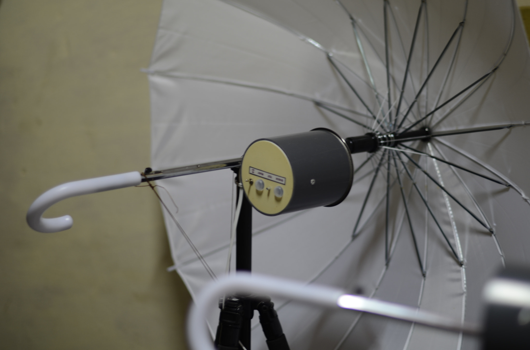 Nikon D5100 + Nikon AF-S Nikkor 50mm F1.4G sample photo. Dsc photography